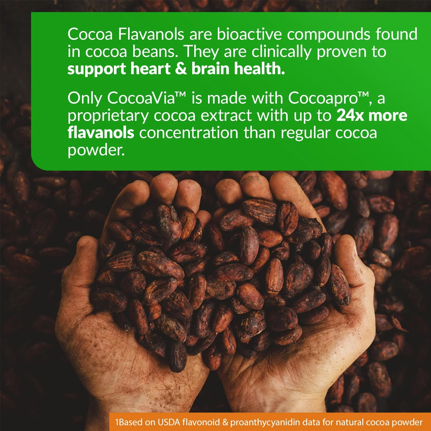 CocoaVia Heart & Brain Supplement, 30 Day, Cocoa Flavanol Extract, Memory & Circulation Booster, Nitric Oxide, Boost Oxygen & Energy, Plant Based, Gluten Free, Vegan, 60 Capsules - Image 3