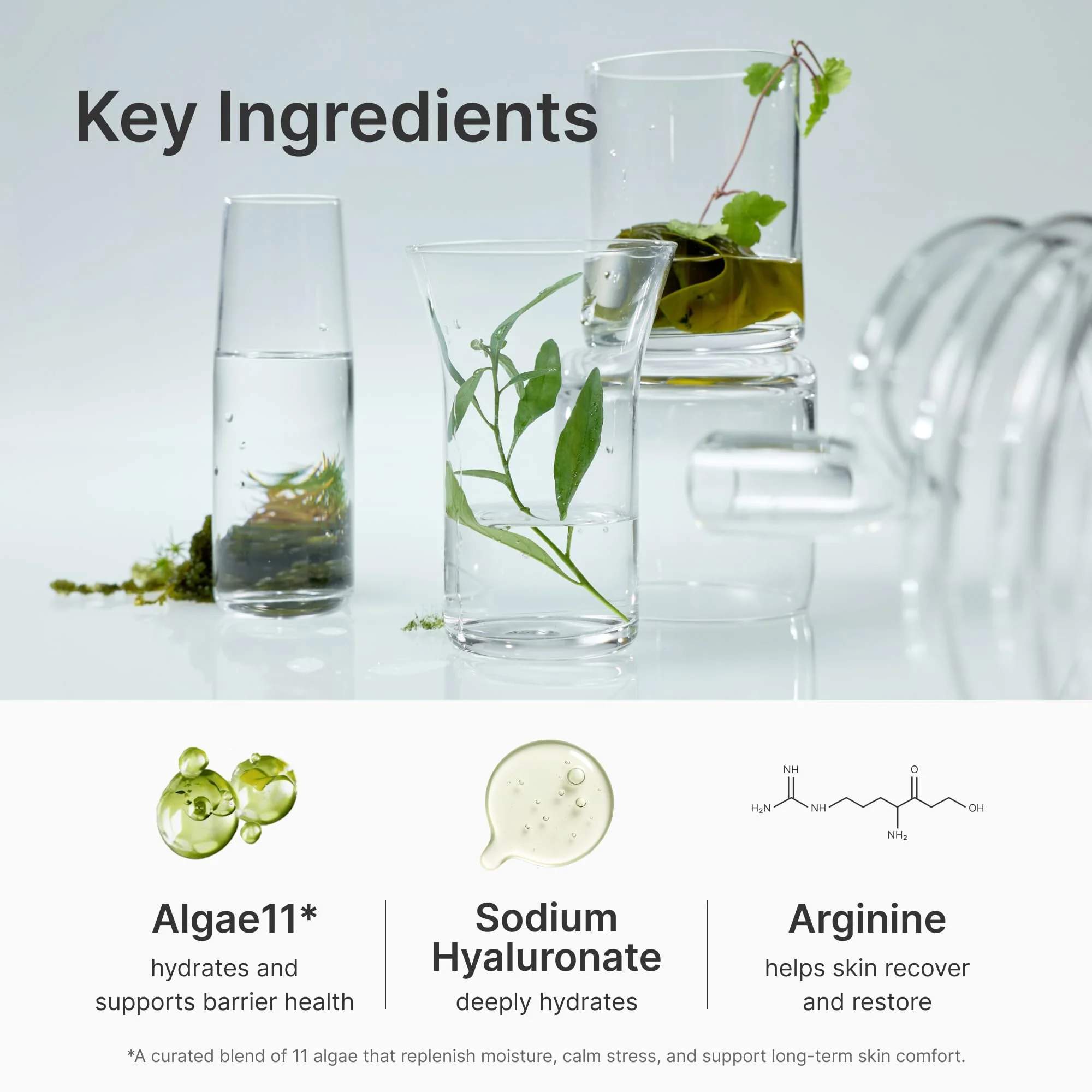 Coeternal Refreshing Hydration Toner, Korean Face Toner with Hyaluronic Acid & Algae11, Hydrating & Calming for Glass Skin, Dry or Oily Skin, K-Beauty Skincare 150ml / 5.07 fl.oz. - Image 6