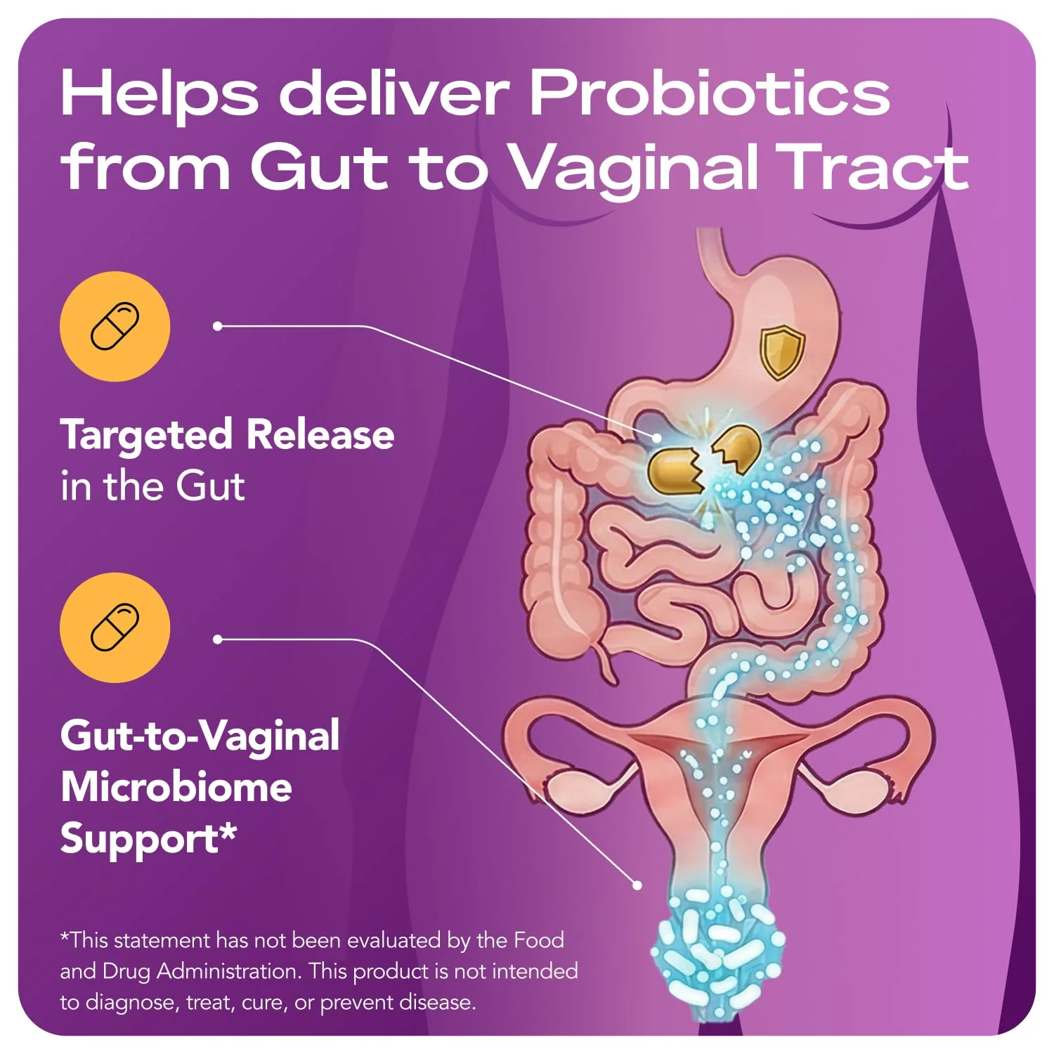 Complete Vaginal Probiotics for Women - w/Added Cranberry, D-mannose to Promote Urinary Tract, Bladder, Gut & Vaginal Health - pH Balance for Women - Support UTI, BV, YI - 60 Vegan Capsules - Image 7