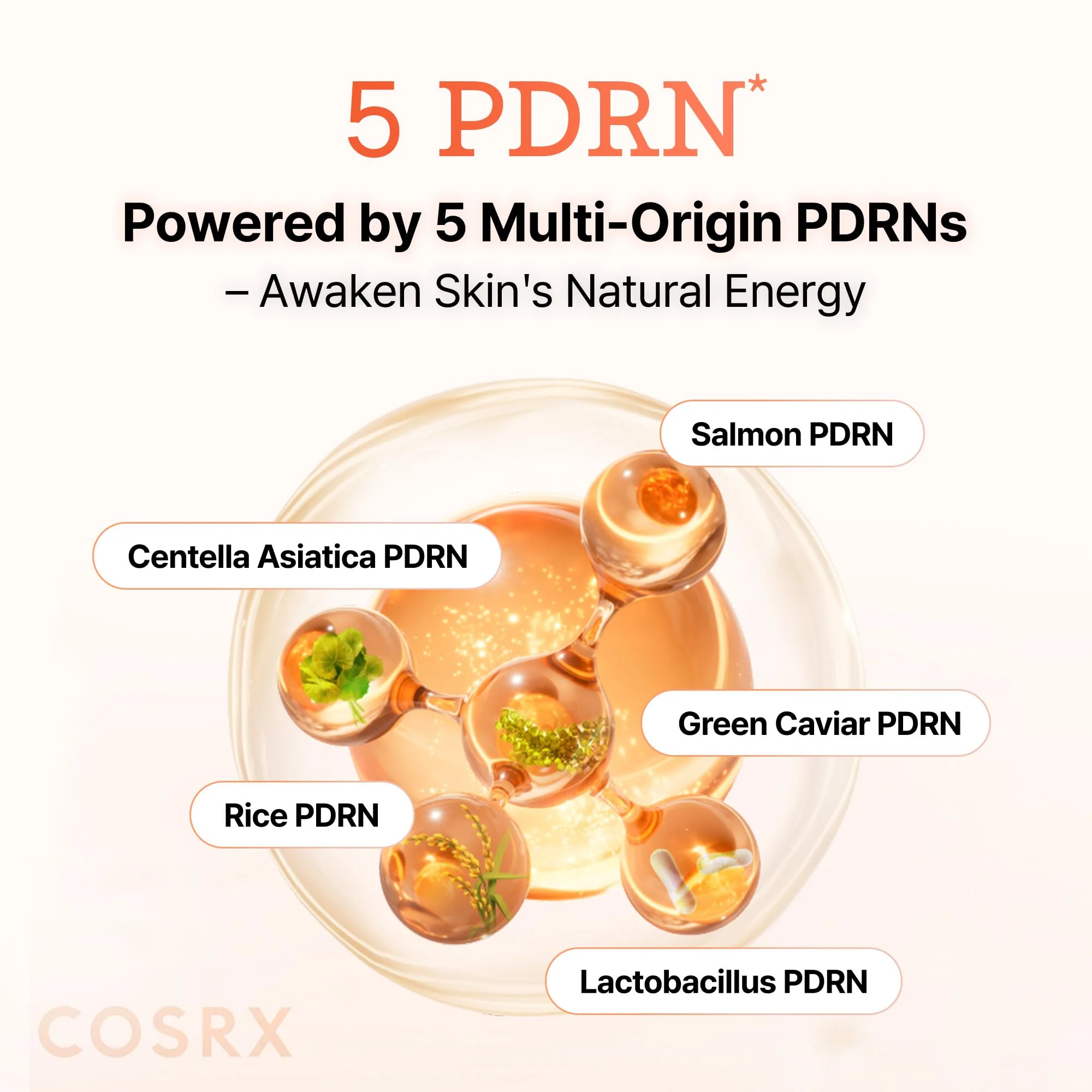 COSRX 5 PDRN B5 Vital Soothing Toner - Korean Toner for Rejuvenating & Soothing Skin with Salmon DNA, Centella, Lactobacillus PDRN & Panthenol, Korean Skin Care (280ml/9.46 fl.oz.) - Image 6