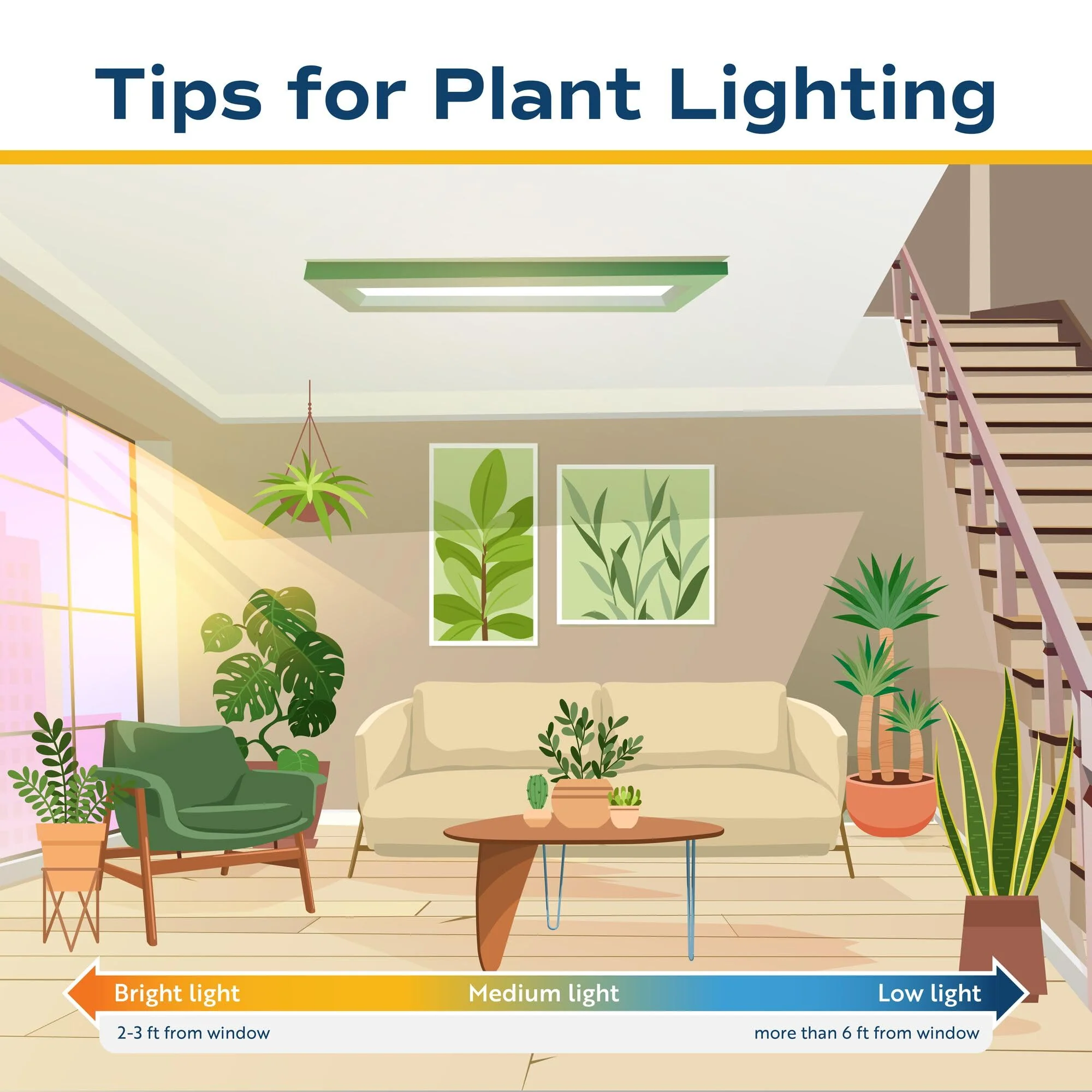 Costa Farms Live Indoor House Plants (6-Pack), Hand Selected Easy to Maintain Indoor Assorted Houseplants, Curated Air Purifying Mix, Low Light, Home Office Decor Plant Gift