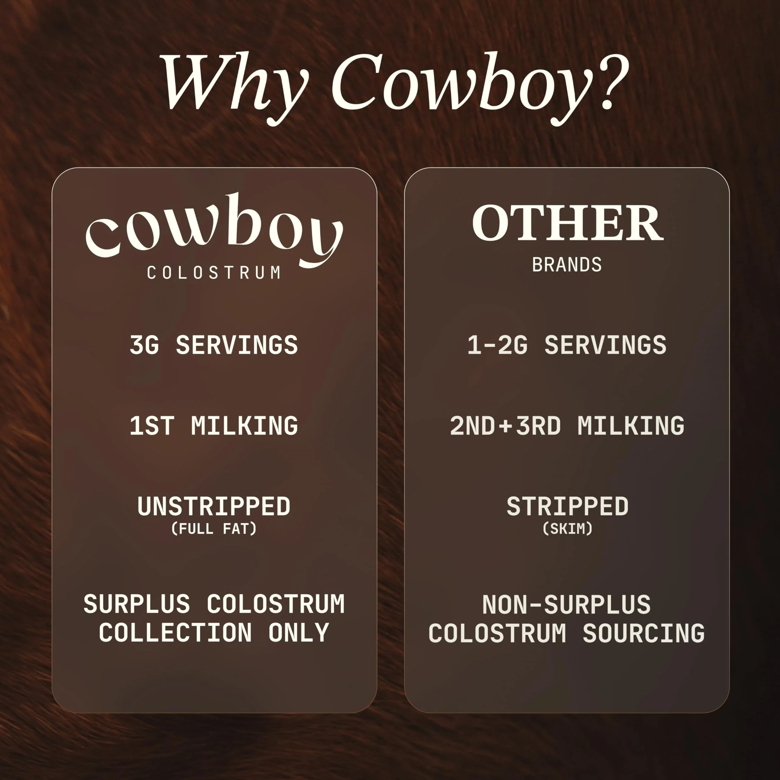 Cowboy - The Exclusive 1st Milking, Whole, Grass Fed Colostrum Supplement for Full Body Health - Bovine Colostrum Powder Packed w/Bioactive Nutrients (10 Travel Packs - Vanilla) - Image 4