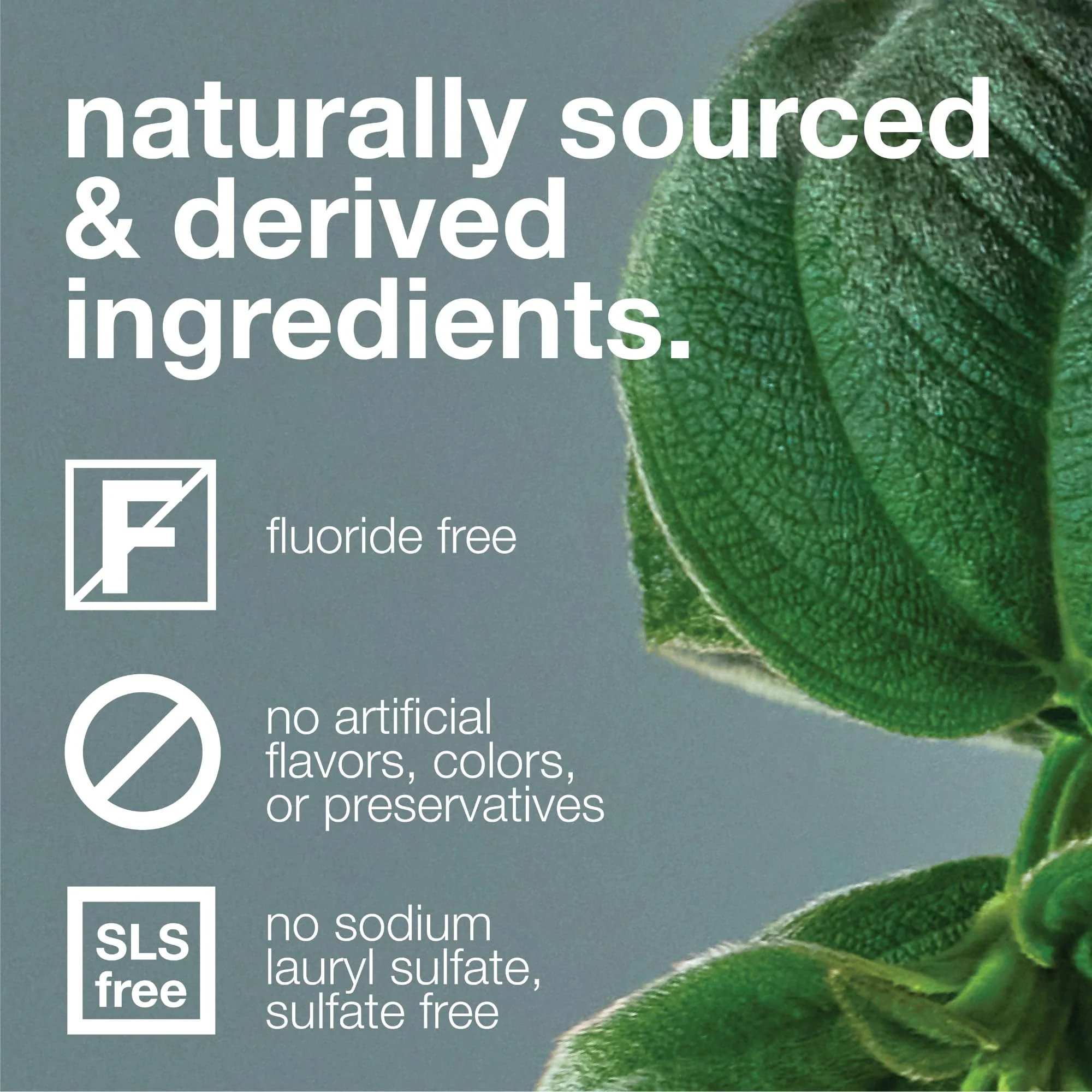 Davids Fluoride Free Toothpaste, Teeth Whitening, Antiplaque, SLS (Sulfate) Free, Promotes Enamel Health, Mouth & Gum Detox, EWG Verified, Natural Peppermint, 5.25oz (3 Pack) - Image 2