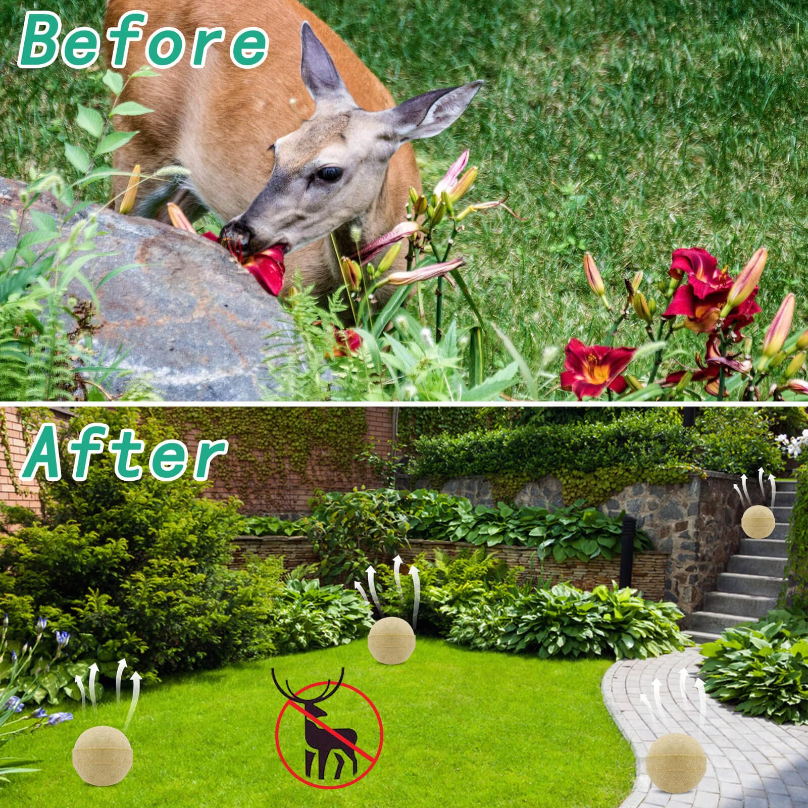 Deer Repellent, 12Pack Natural Deer Stopper Repellent, Rabbit Repellent Powerful Deer Deterrent for Outdoor Garden Plant Tree Yard, Safe for Deer and Plants - Image 5