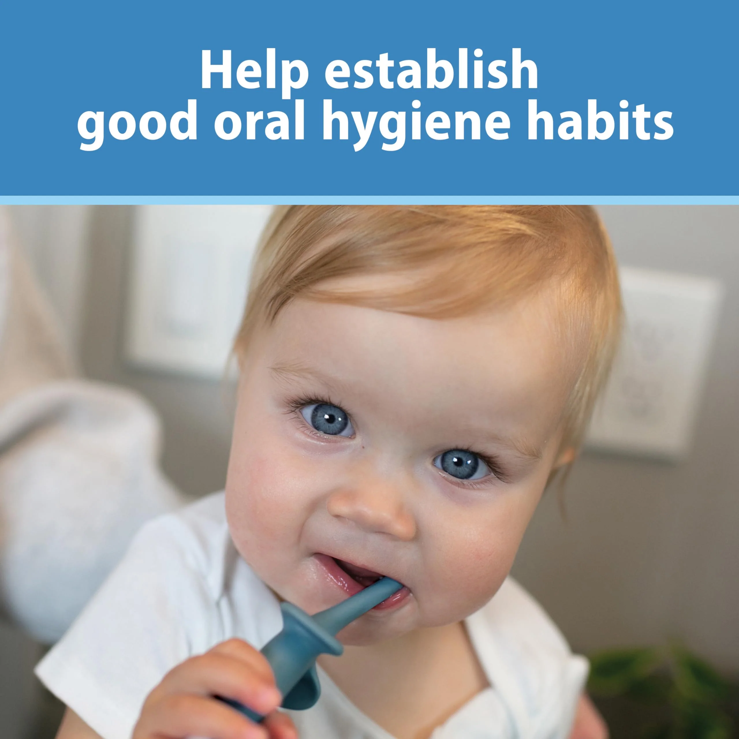 Dr. Brown's Infant-to-Toddler Toothbrush Set, 1.4 Ounce, Blue - Image 7