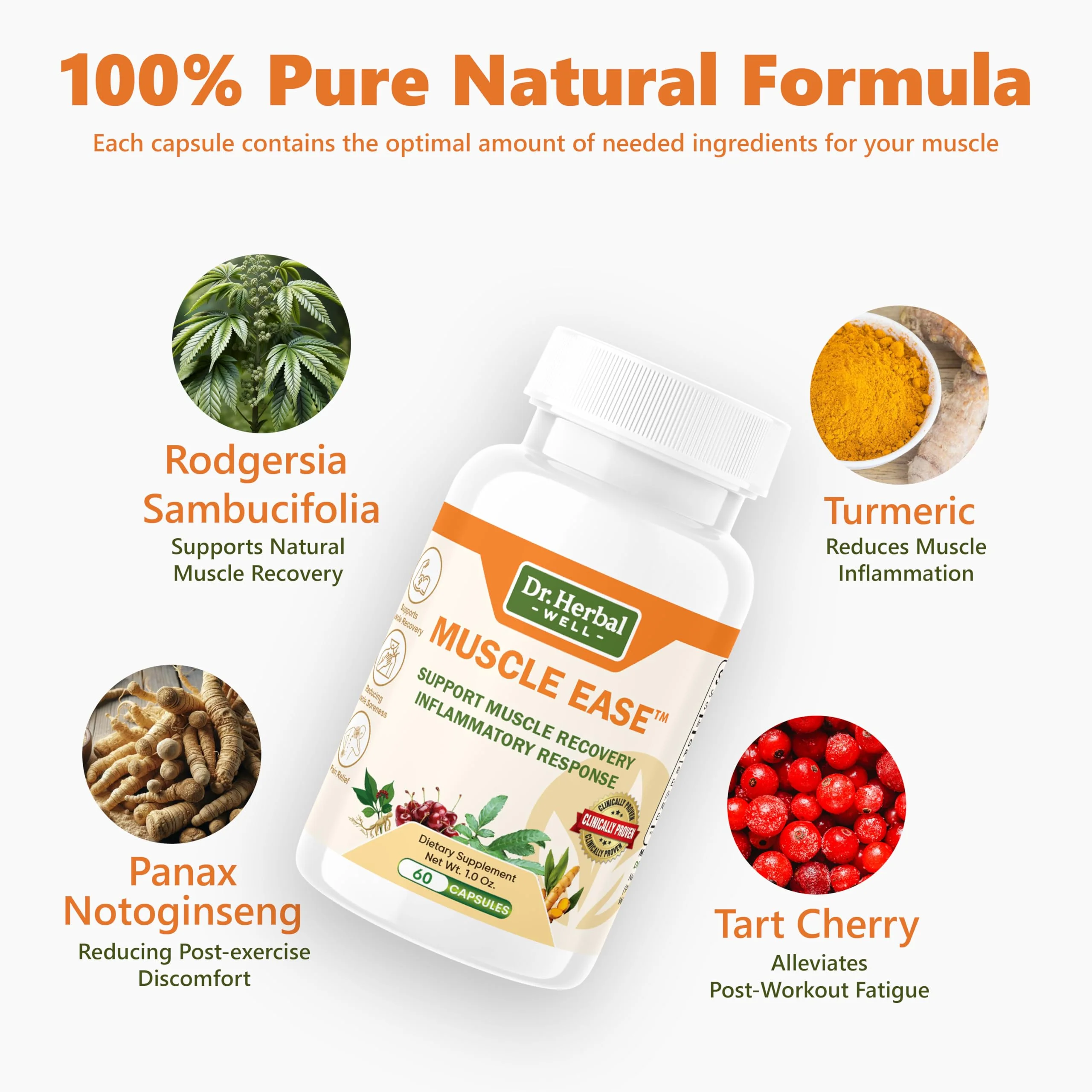 DR.HERBAL WELL Muscle Ease - Joint, Muscle & Nerve Support Fast Acting Relax Comfort Recovery Natural Herbal Supplement - (60 Capsules) MAX-Strength - Image 7