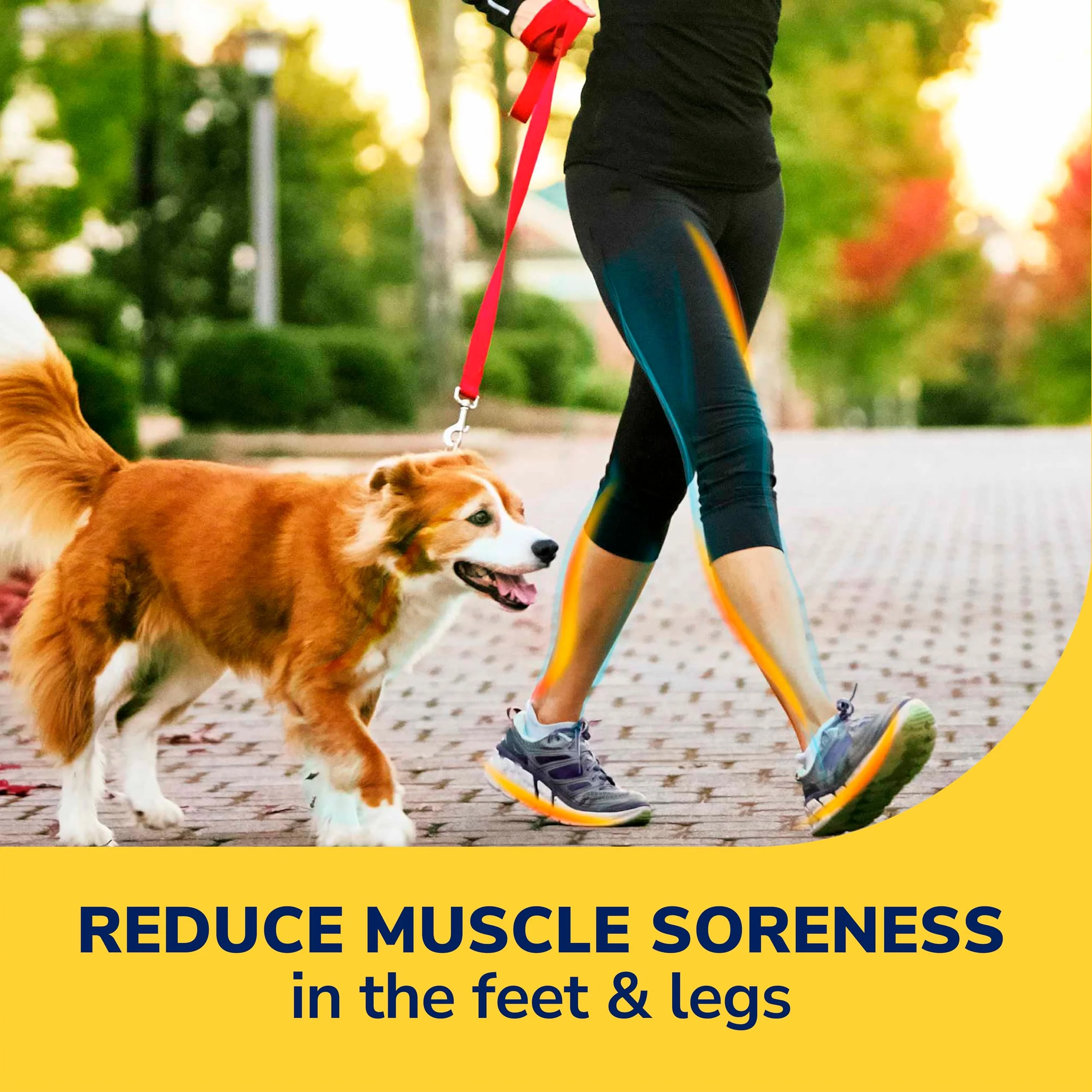 Dr. Scholl's Walk Longer Insoles for Women - Comfortable Plush Foam Cushioning Inserts for Walking, Hiking, Standing on Feet All-Day with Arch Support - Walk 50% Longer Without Muscle Fatigue: 2 Pairs - Image 2