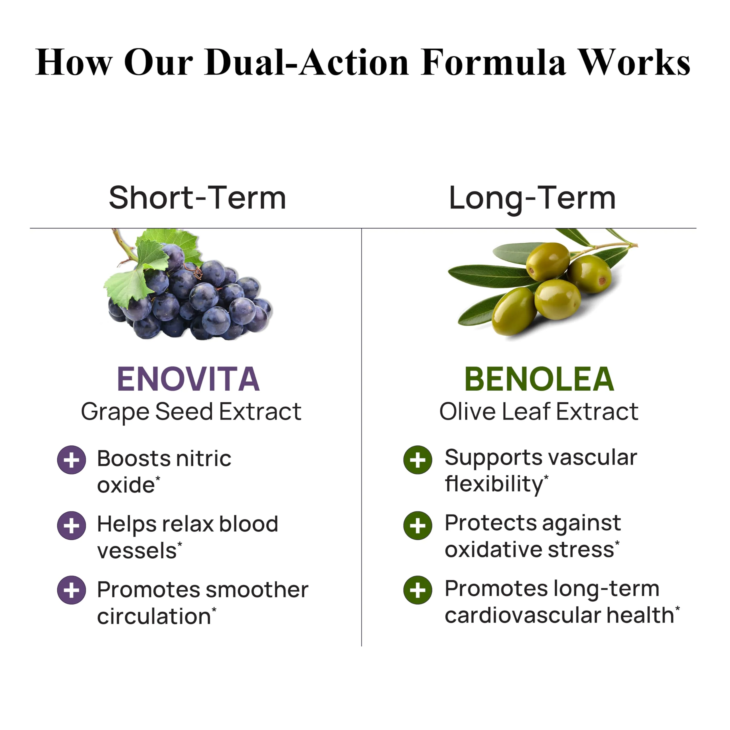 Durable Blood Pressure – Benolea Olive Leaf & Enovita Grape Seed Extract – Healthy Circulation, Nitric Oxide & Artery Support – Doctor Formulated, Vegan, Non-GMO, Made in USA (180 Capsules) - Image 5