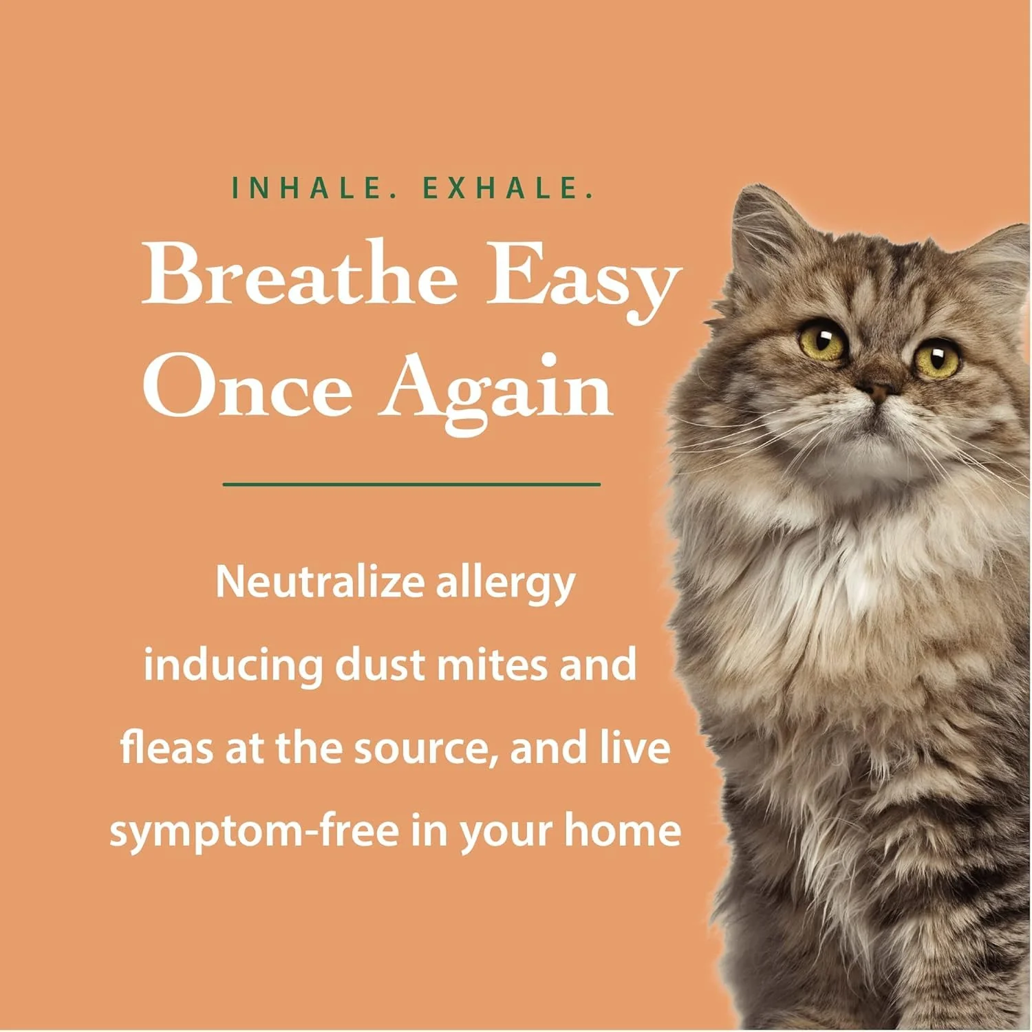DustmiteX Dust Mite Spray - Dust Mites Remover + Flea Killer for Allergy & Asthma Relief for Cleaning in Home, Bed, Pet Bedding, & Furniture, Anti Allergen Dust Mites Killer - Image 7