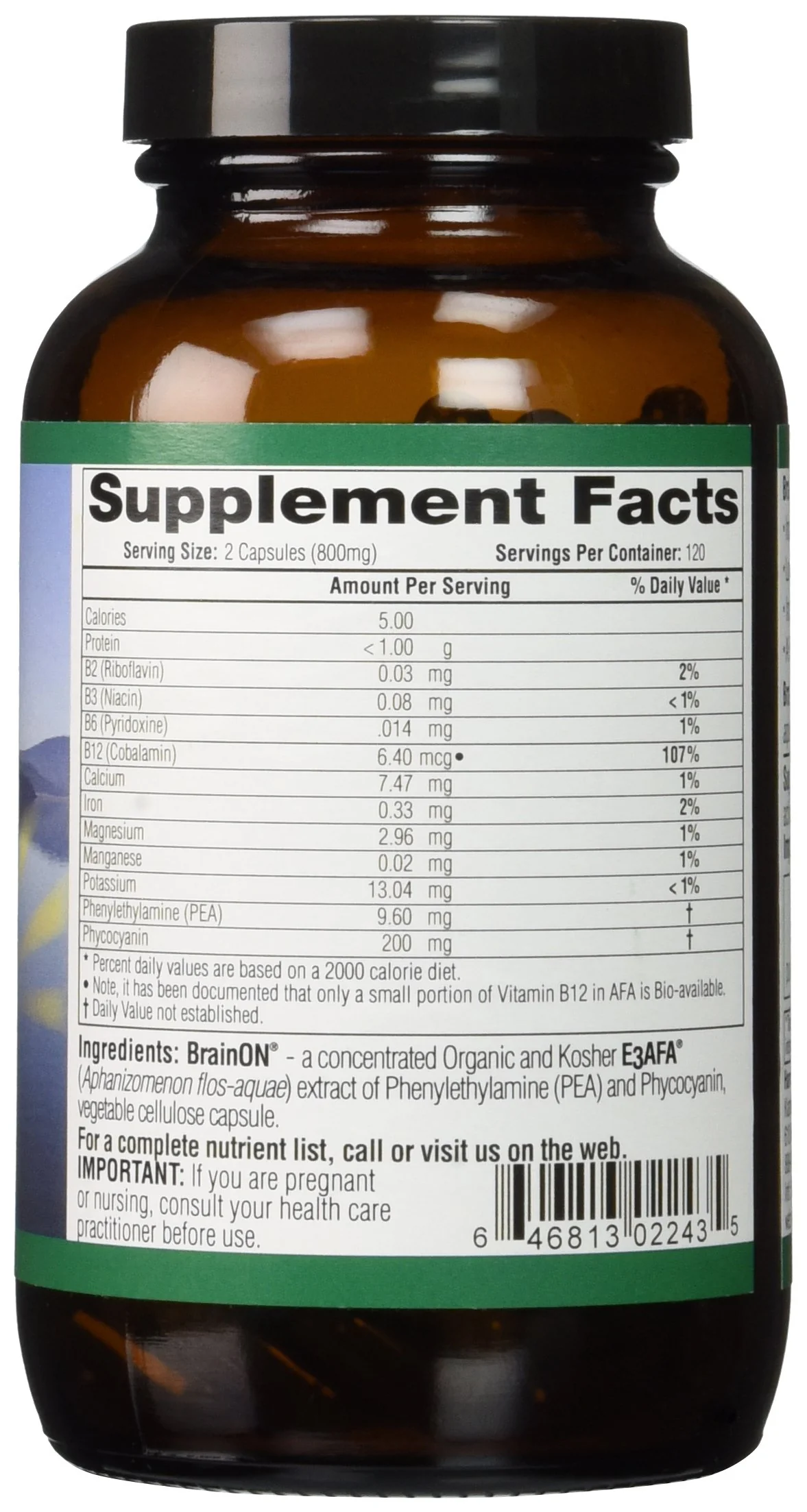 E3LIVE BrainON - Wild-Harvested AFA Extract for Mood Balance & Focus 240 Count - Image 4