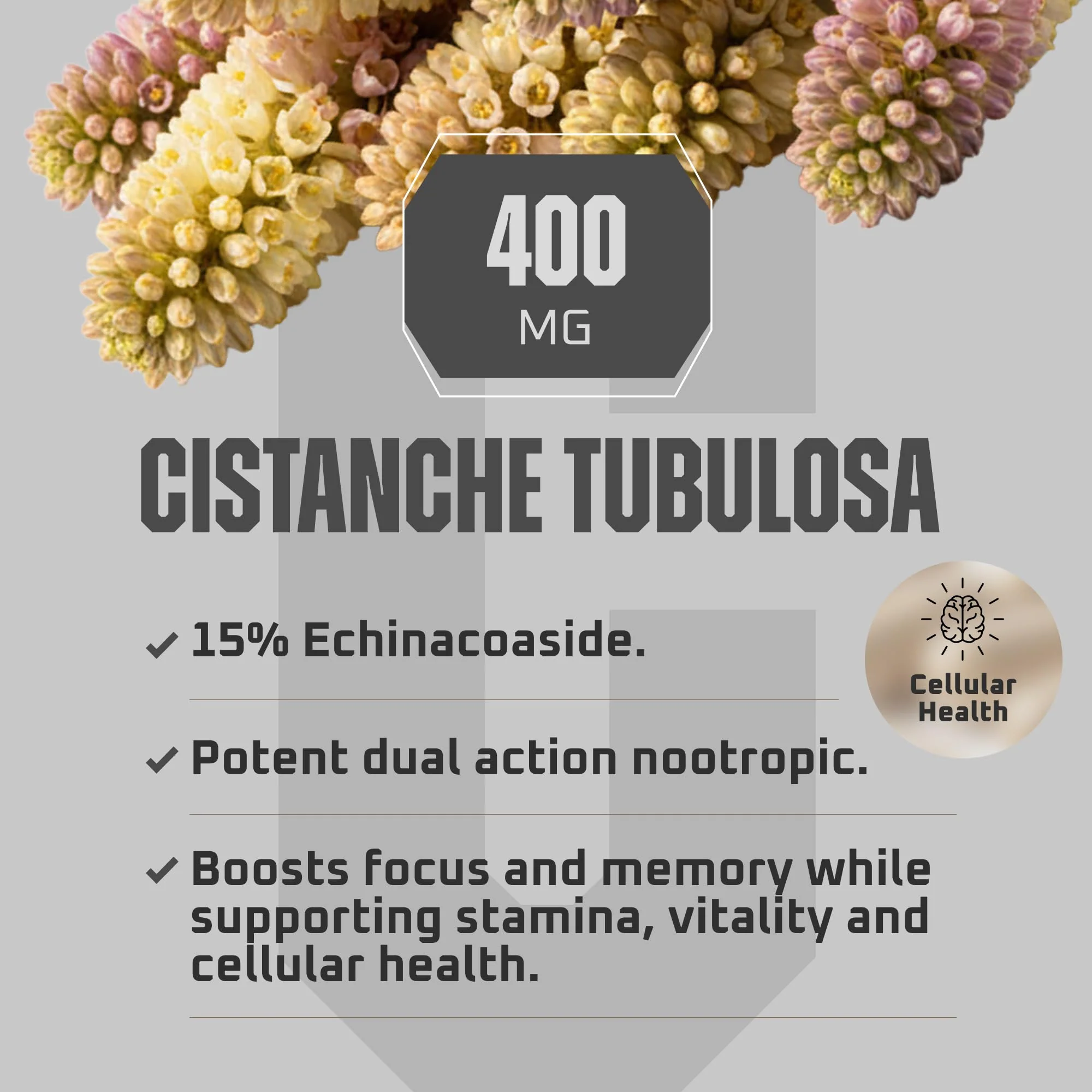 Earth Elixir Cistanche Supplement for Men & Women – Potent Cistanche Tubulosa Extract Capsules for Daily Vitality, Strength & Performance Support – Made in USA, 3rd Party Tested & 3 Month Supply - Image 5