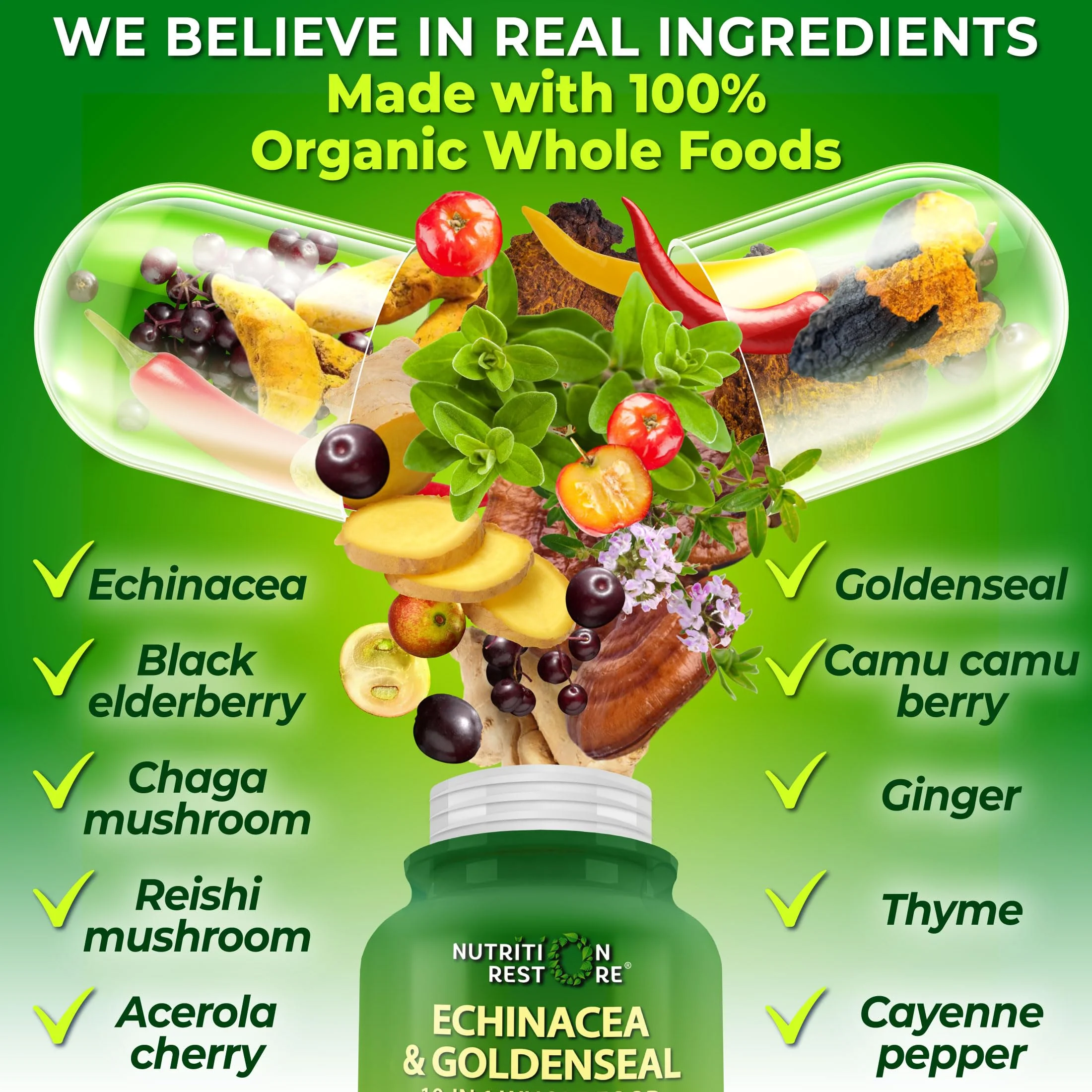 Echinacea Goldenseal Capsules - 10 in 1 Immune Support Supplement - 1455mg - Vegan Echinacea Capsules Supplement Made With Organic Whole Foods - Herbal Immune System Support - 2 Month Supply - Image 5