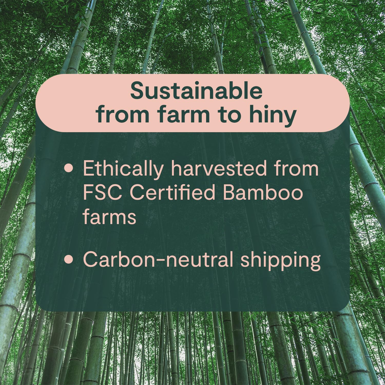 ecoHiny Premium & Soft Bamboo Toilet Paper | PFAS Free | 12 Mega Rolls, 3 ply & 350 Sheets | Non Toxic, FSC Certified, Septic Safe, BPA Free | Tree Free Toilet Tissue | Plastic Free Packaging - Image 3