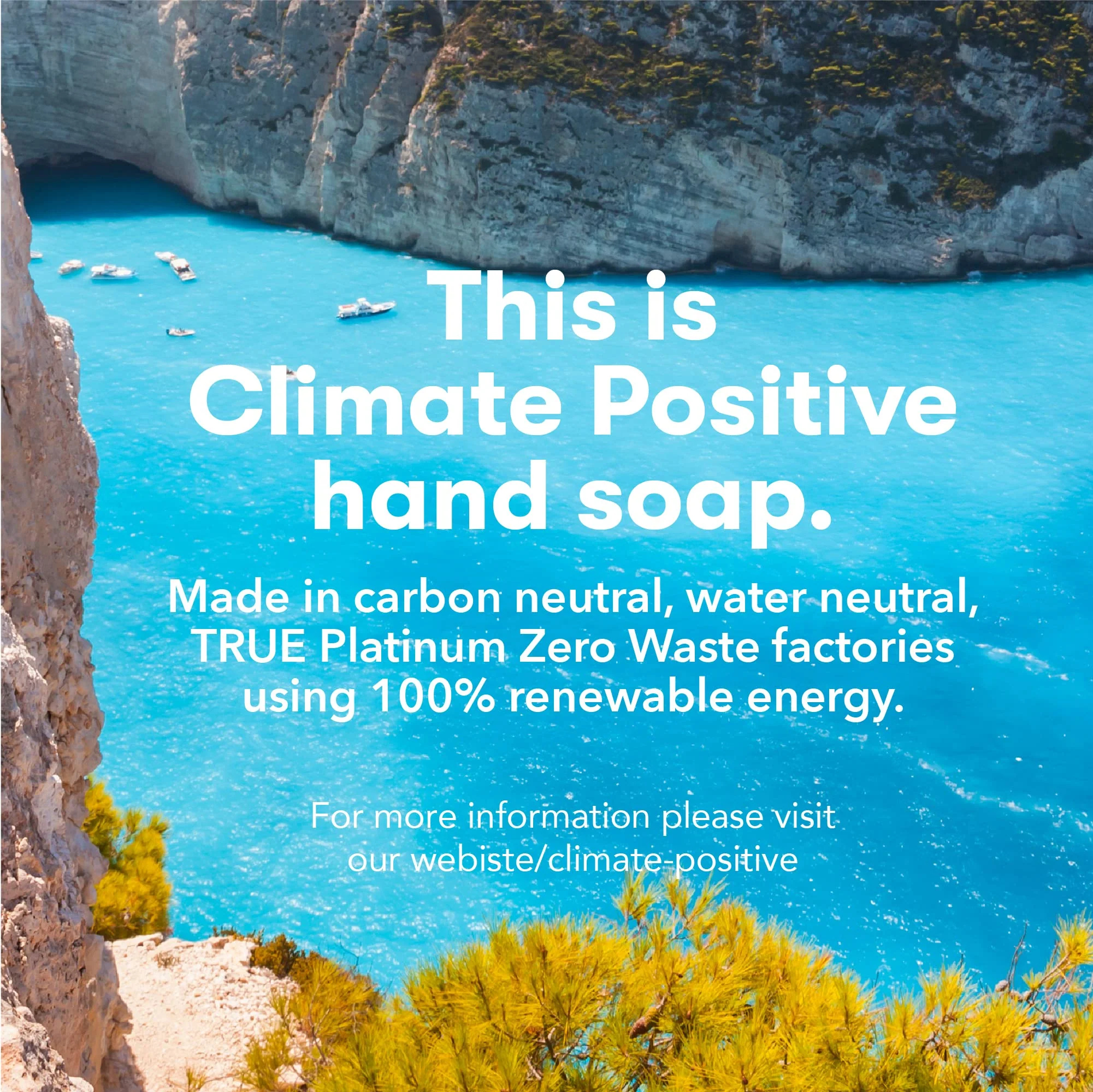ECOS Hypoallergenic Hand Soap - All Natural pH-Balanced Handwash Soap with Vitamin E - Safe for Sensitive Skin - Lavender - 17 Oz Bottle (6 pack) - Image 6