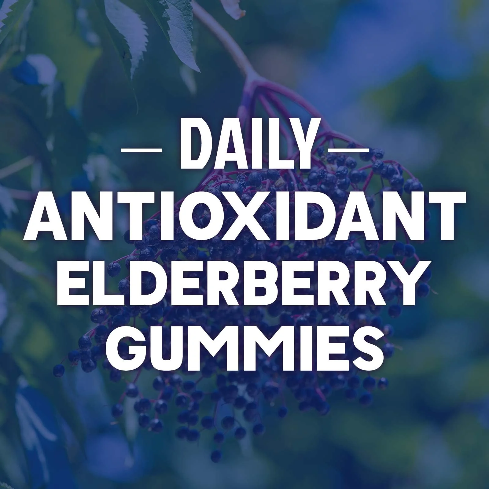 Elderberry Immune Support Gummies - 3X Strength Sambucus Elderberry Gummy with Vitamin C, D3 & Zinc - Nature’s Black Elderberry Extract - Immune Support Supplement for Adults & Kids - 120 Gummies - Image 5