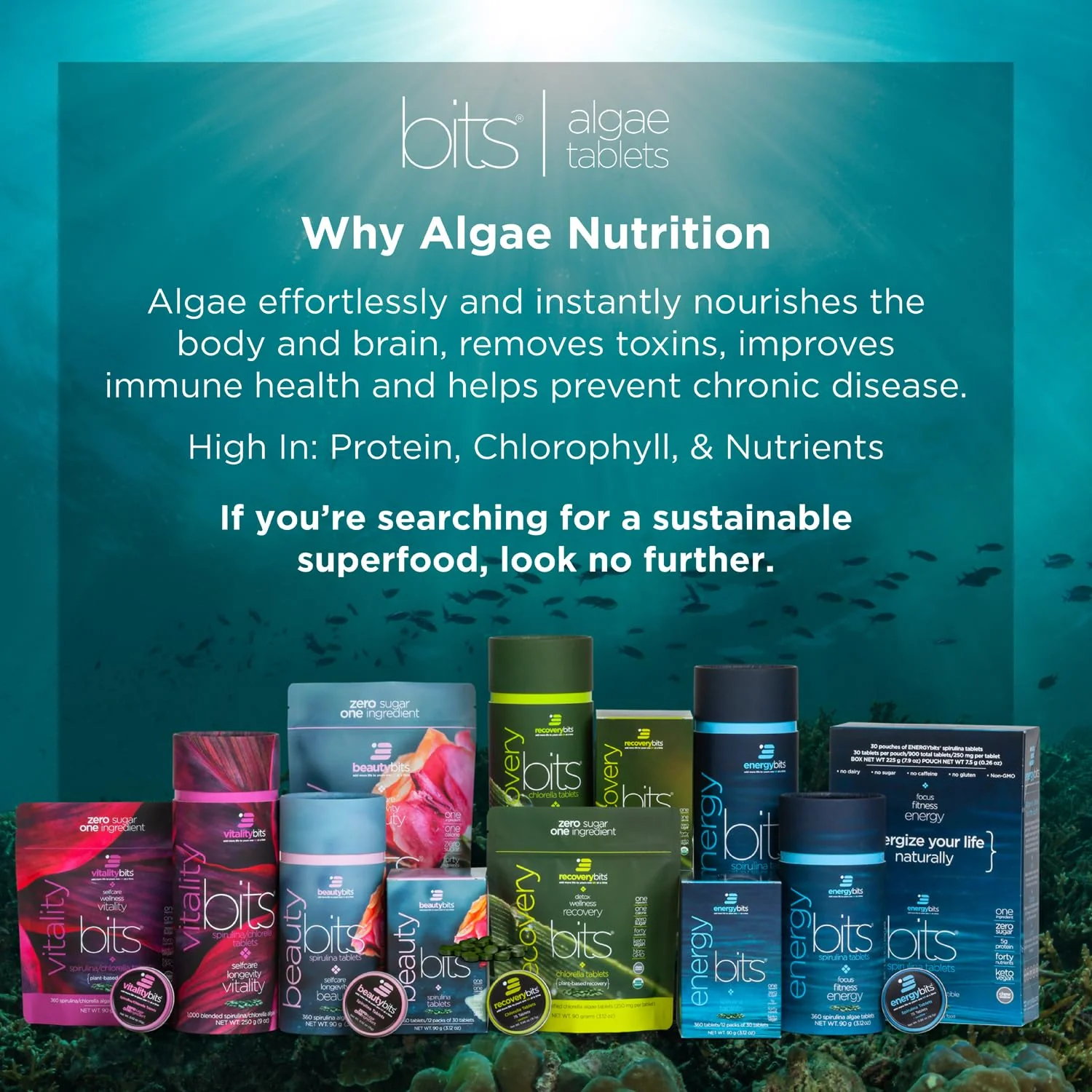 ENERGYbits/RECOVERYbits - Organic Spirulina & Chlorella Tablets - Single Serving Sample Packs - Algae Superfood - High Protein, Chlorophyll - Self Care - Vegan, Keto, Gluten Free - 4 Bags, 30/Bag - Image 7