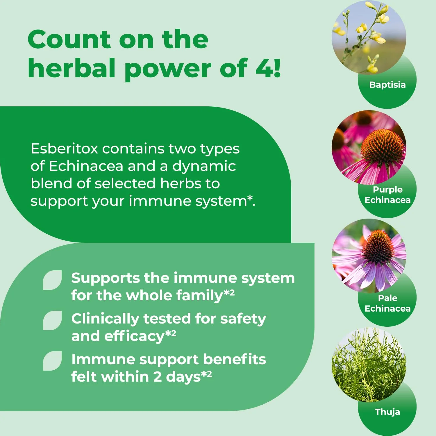 ESBERITOX Supercharged Echinacea – 200 Tablets – Immune Support Herbal Supplement with Wild Indigo Root & Purple Coneflower – Clinically Tested – Made in Germany - Image 4