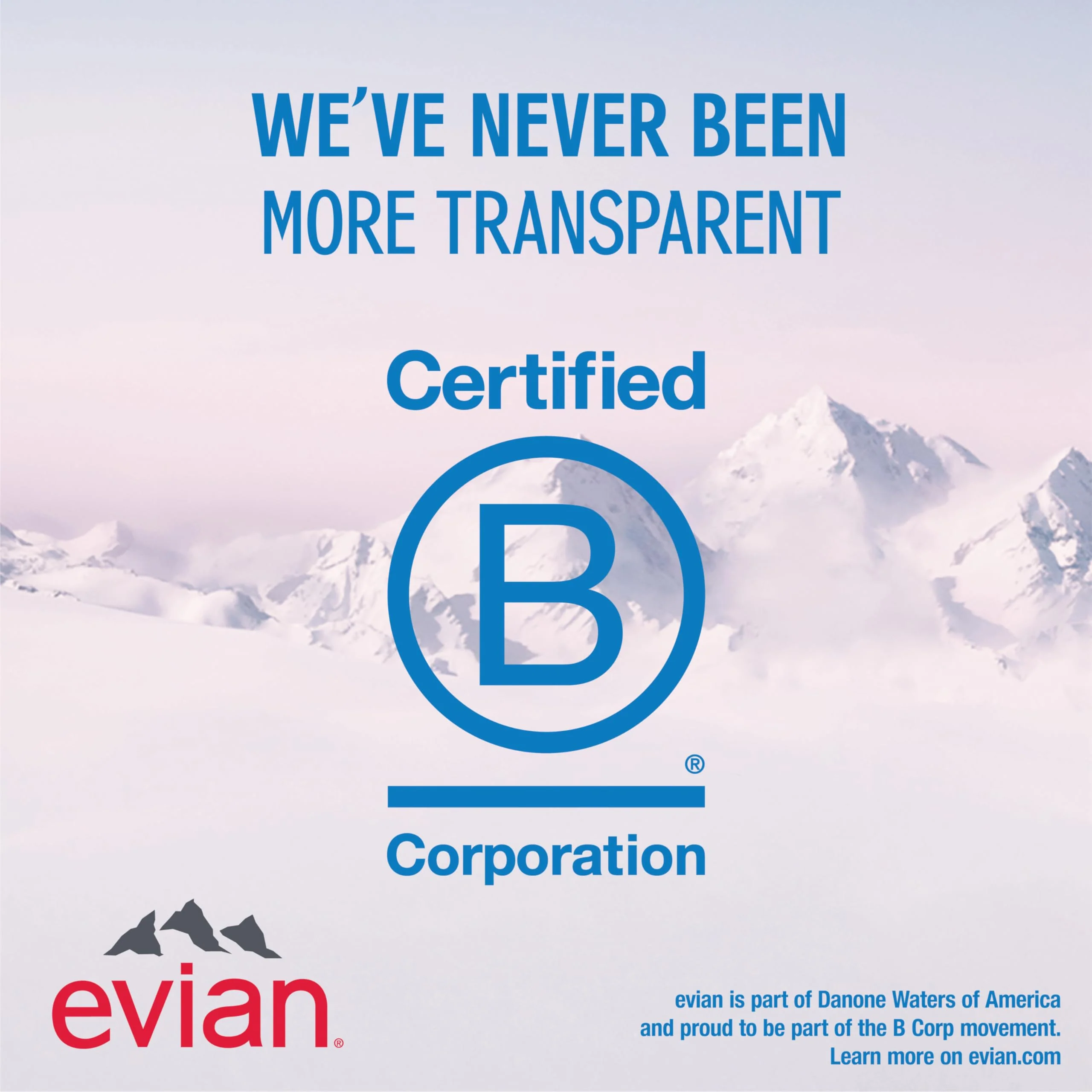 Evian Natural Spring Water (One Case of 12 Individual Bottles, each bottle is 1 liter) Naturally Filtered Spring Water in Large Bottles - Image 11