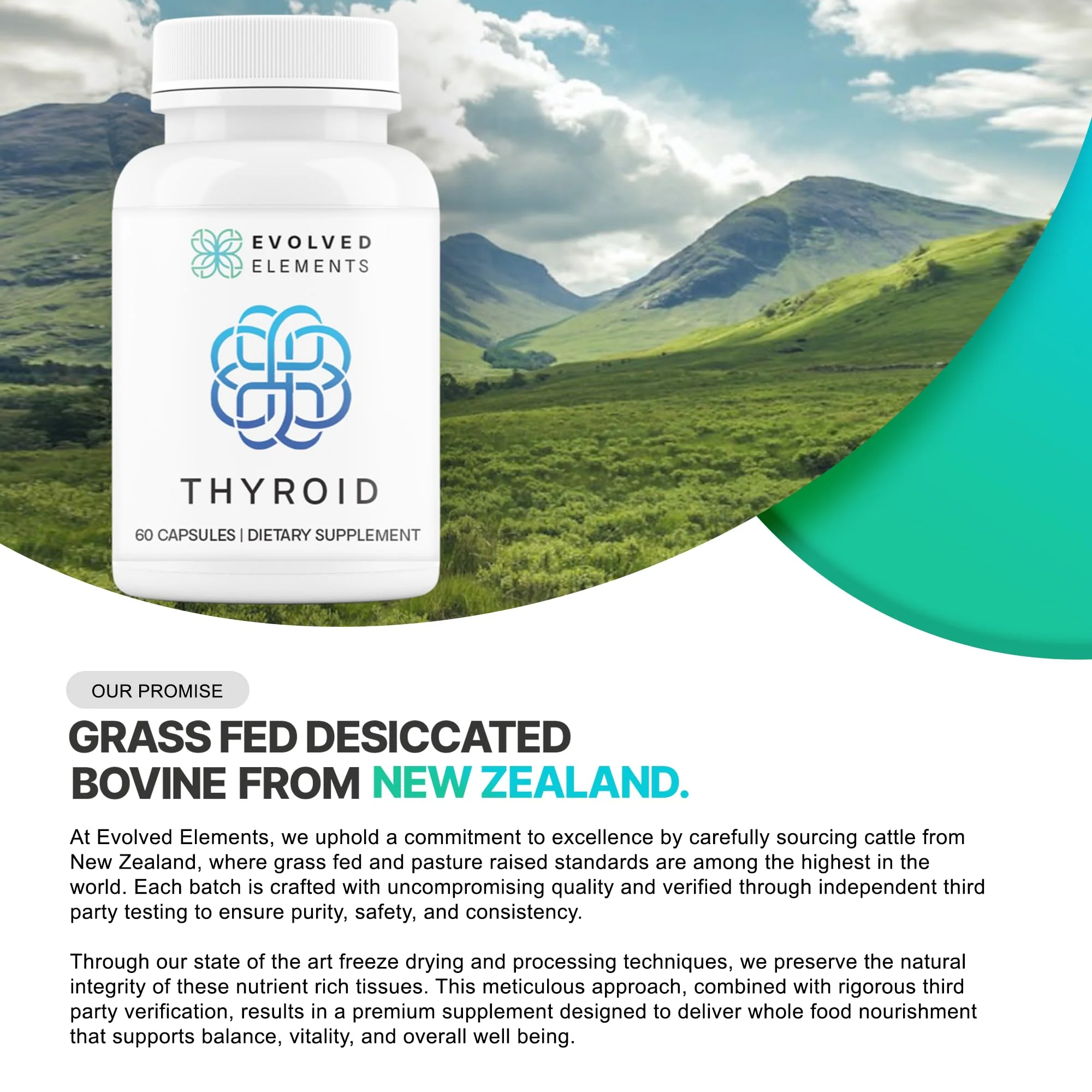 Evolved Elements Thyroid – Raw Grass-Fed Desiccated – New Zealand Sourced - Energy & Metabolism Support – Non-GMO, 60 Capsules - Image 3
