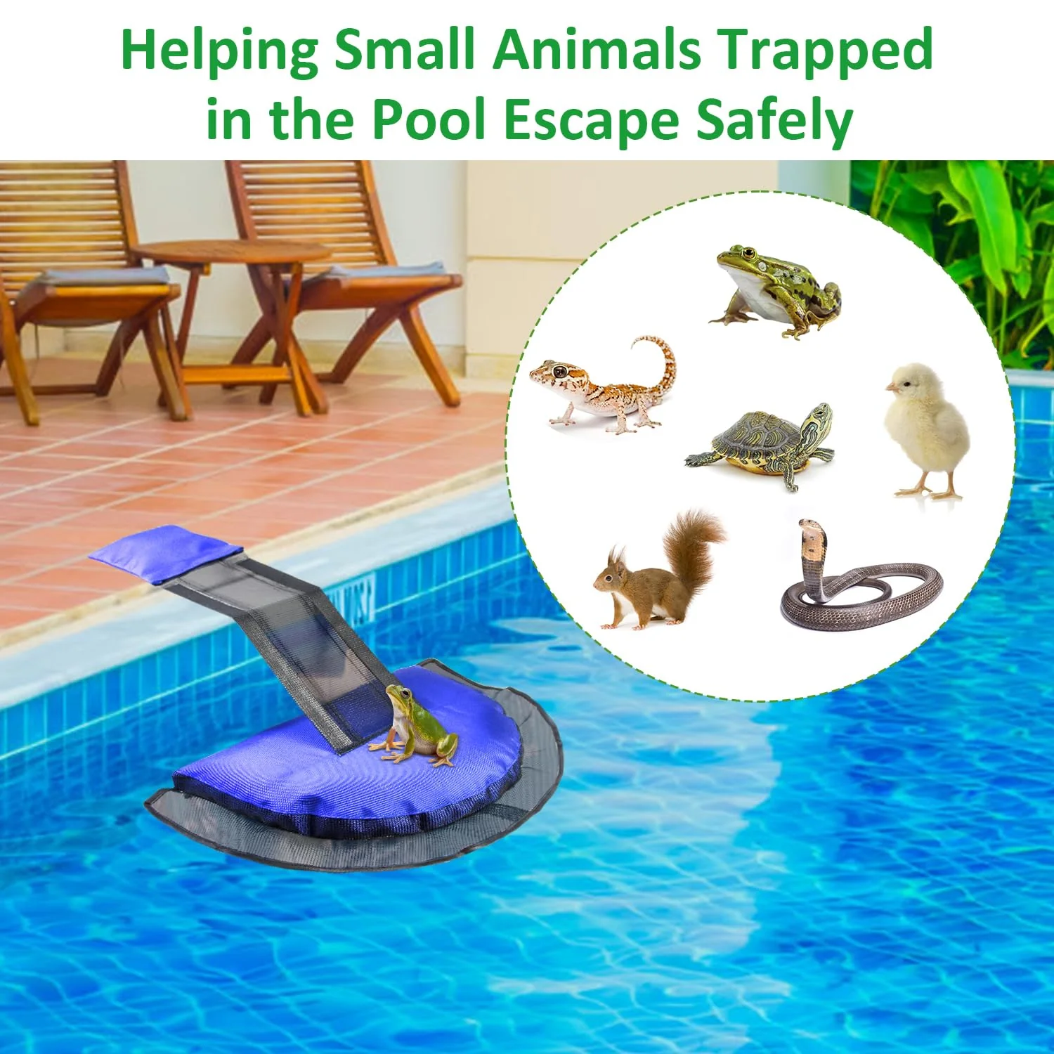 Fabflame 2 Pack Animal Saving Escape Ramp for Pools and Spas, Frog and Animals Saver for the Pool, Critter Escape Device for Small Animals Entering the Pool, Floating Ramp Rescues (2, Dark Blue) - Image 6