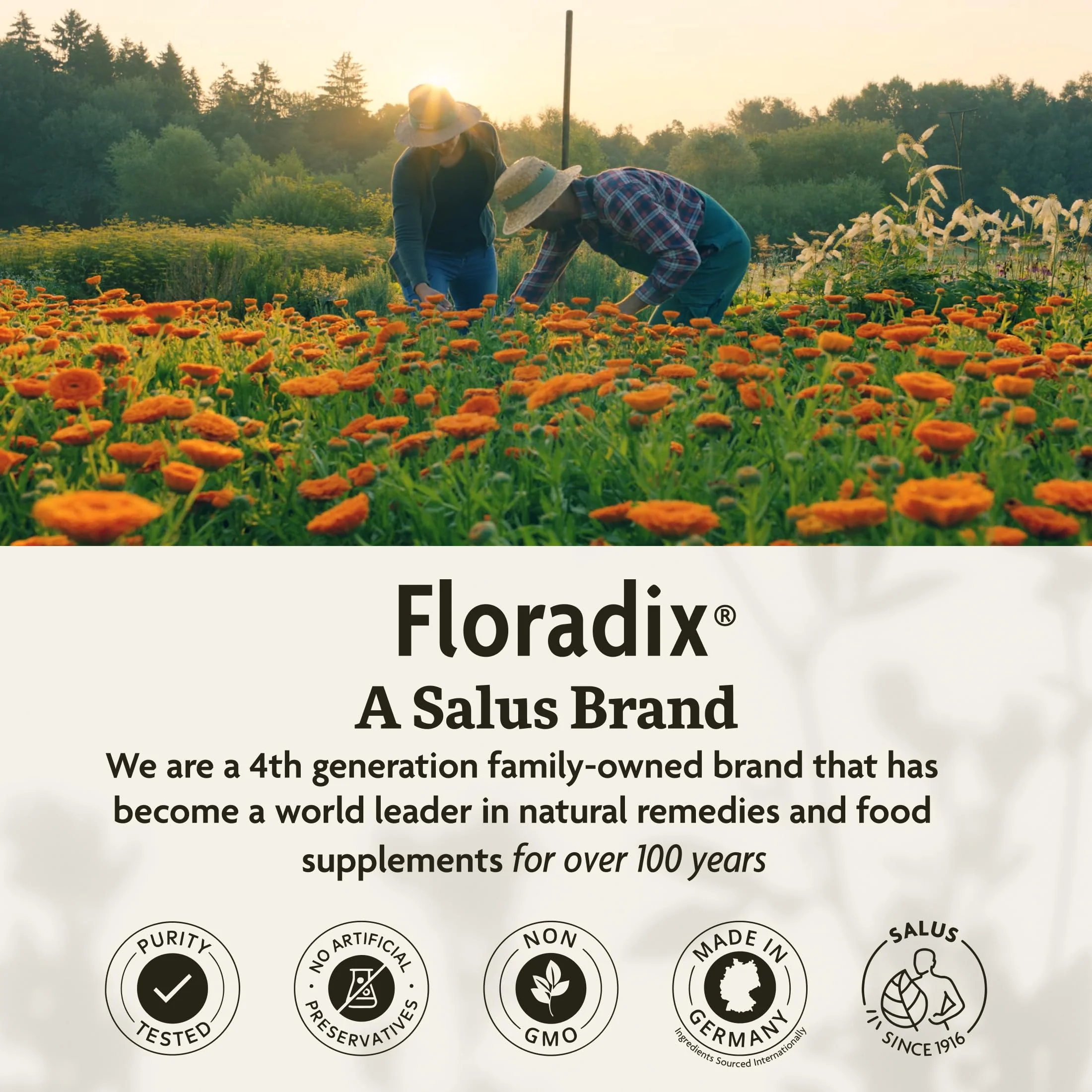 Floradix Iron Sport Liquid Mineral & Vitamin Formula - Daily Nutrition & Energy Support* - Sports Nutrition with Iron, B Vitamins & More - Vegan & Non-GMO - 8.5 fl oz - Image 3