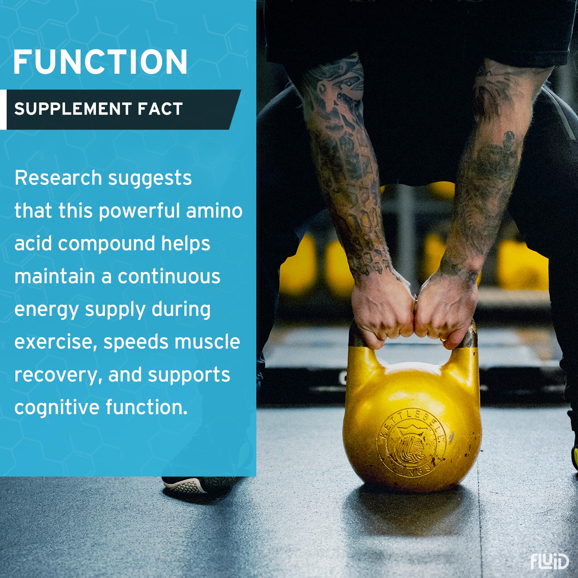 Fluid Creatine - Informed Sport Certified | Ultra-Fine Micronized 100% Creatine Monohydrate Powder | Unflavored | 5g Travel Stick Packs | 30 Servings - Image 2