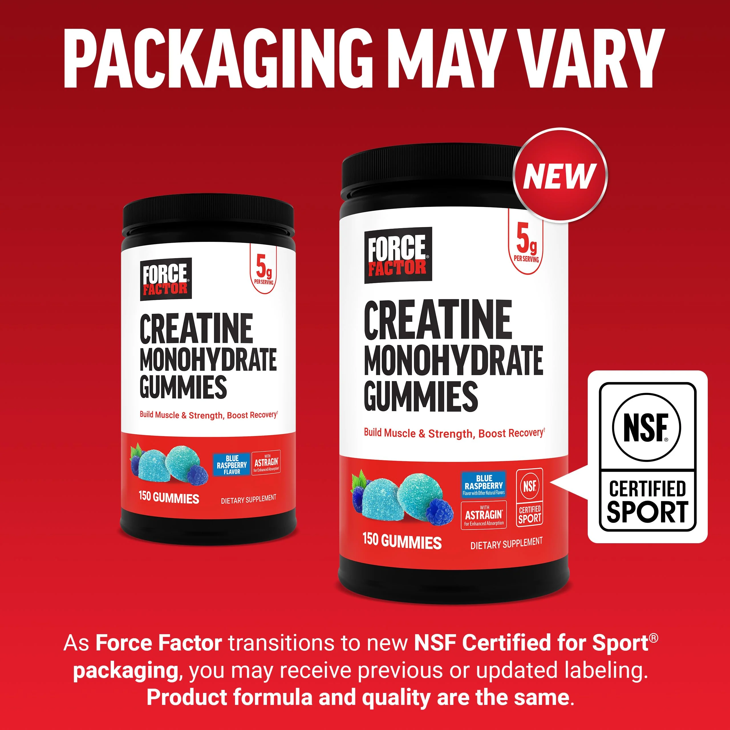 Force Factor Creatine Monohydrate Gummies, NSF Certified, 5g Dose for Men & Women to Support Muscle, Strength, Recovery, Cognitive Health & Memory, Packaging May Vary, Blue Raspberry, 150 Gummies - Image 6