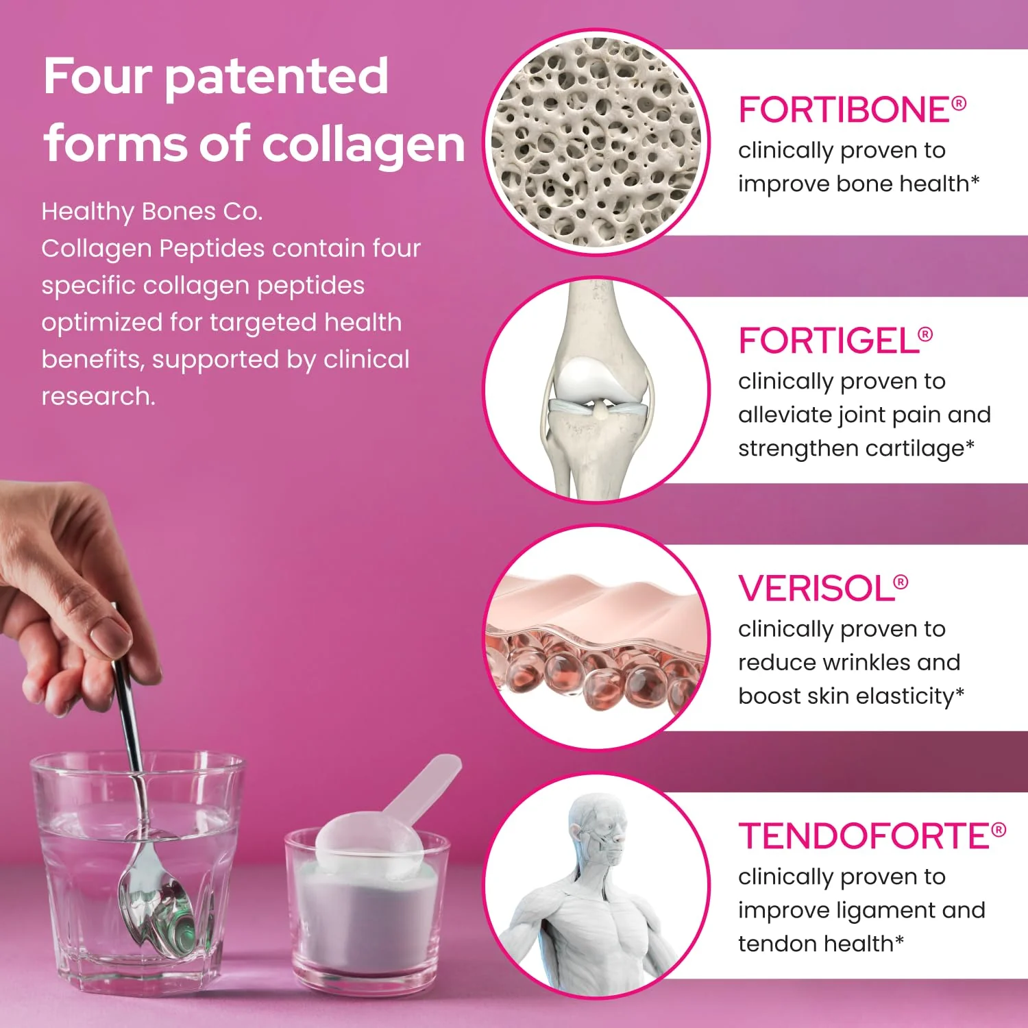 FORTIBONE® Premium Bone Health Collagen Peptides w/FORTIGEL®, VERISOL® & TENDOFORTE®, Clinically-Supported for Bones, Joints Skin Hair Nails, Hydrolyzed Collagen, Anti-Aging Formula (30 Servings) - Image 5