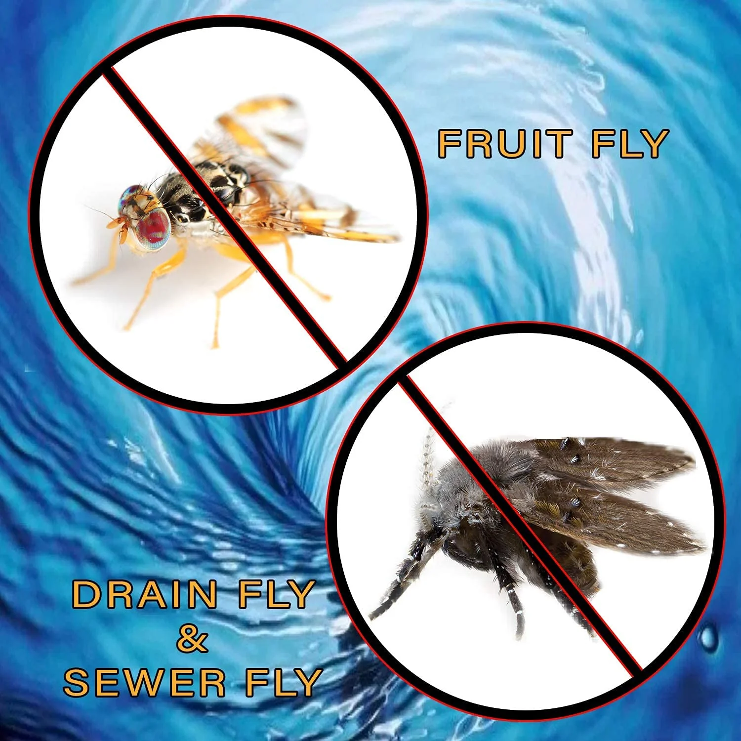 Fruit Fly & Drain Fly Killer - Simple Commercial Drain Gel Treatment - Eliminates Gross Fruit Flies, Drain Flies, Sewer Flies & Gnat Infestations From Any Drain. Fast & Easy - (128 Oz, Case of 4) - Image 7