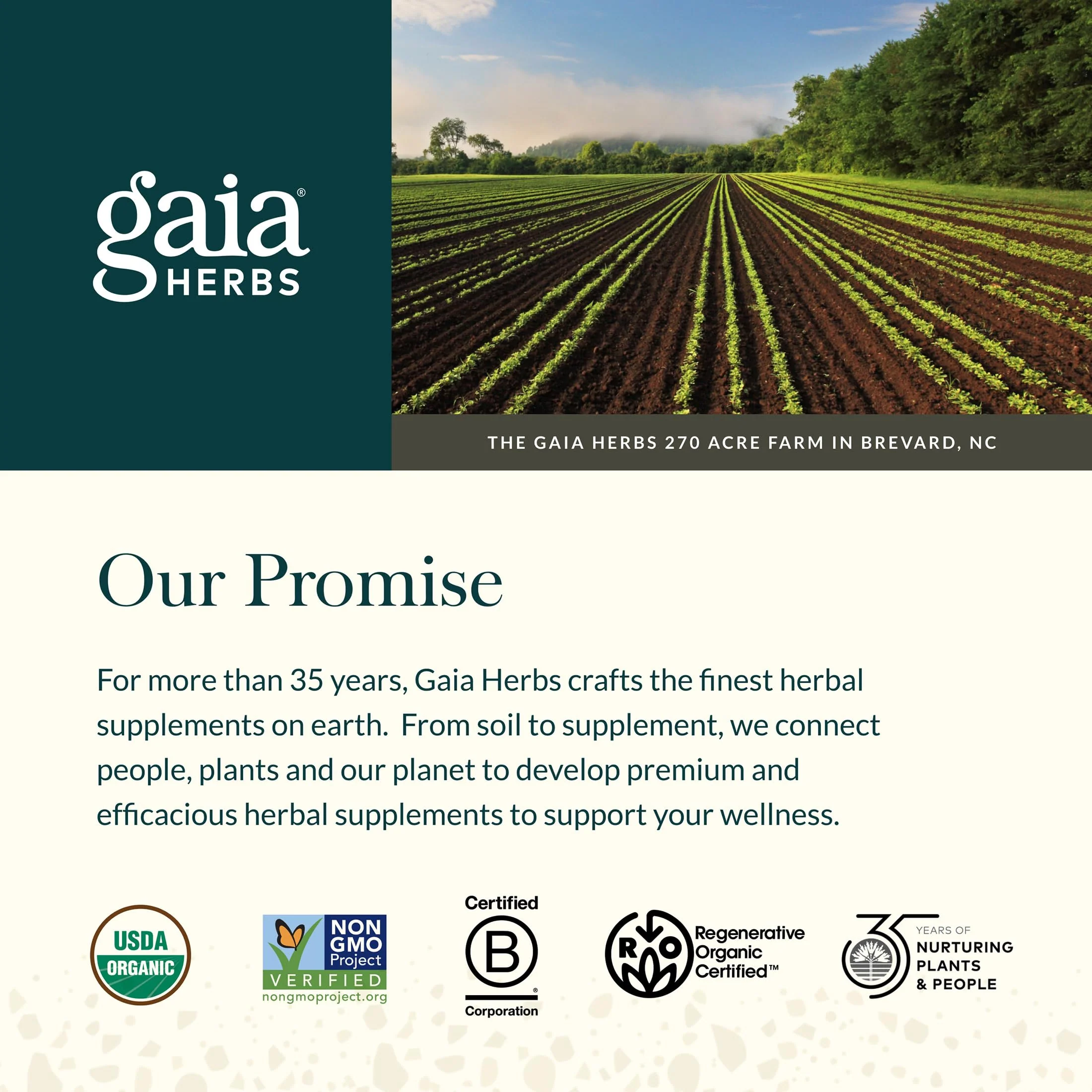 Gaia Herbs Echinacea Supreme - Immune Support Supplement - Echinacea Purpurea & Angustifolia Blend to Support Immune System* - 60 Vegan Liquid Phyto-Caps (30 Servings) - Image 4