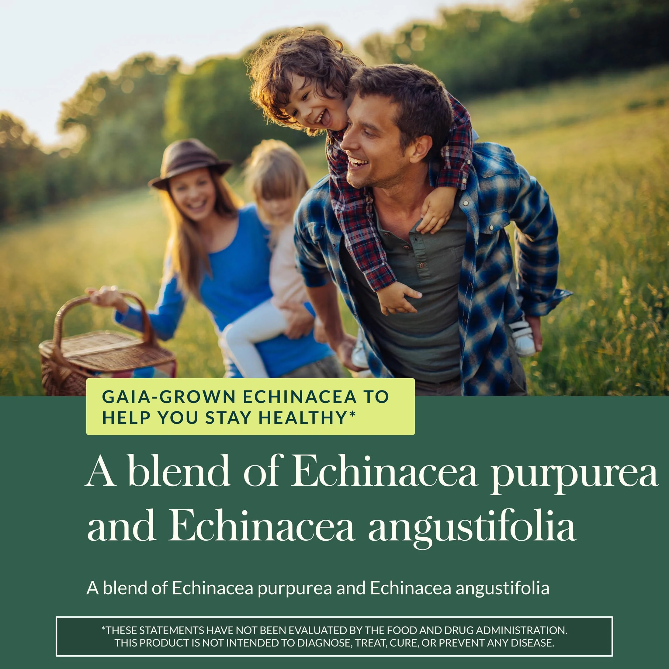 Gaia Herbs Echinacea Supreme - Immune Support Supplement - Echinacea Purpurea & Angustifolia Blend to Support Immune System* - 60 Vegan Liquid Phyto-Caps (30 Servings) - Image 6