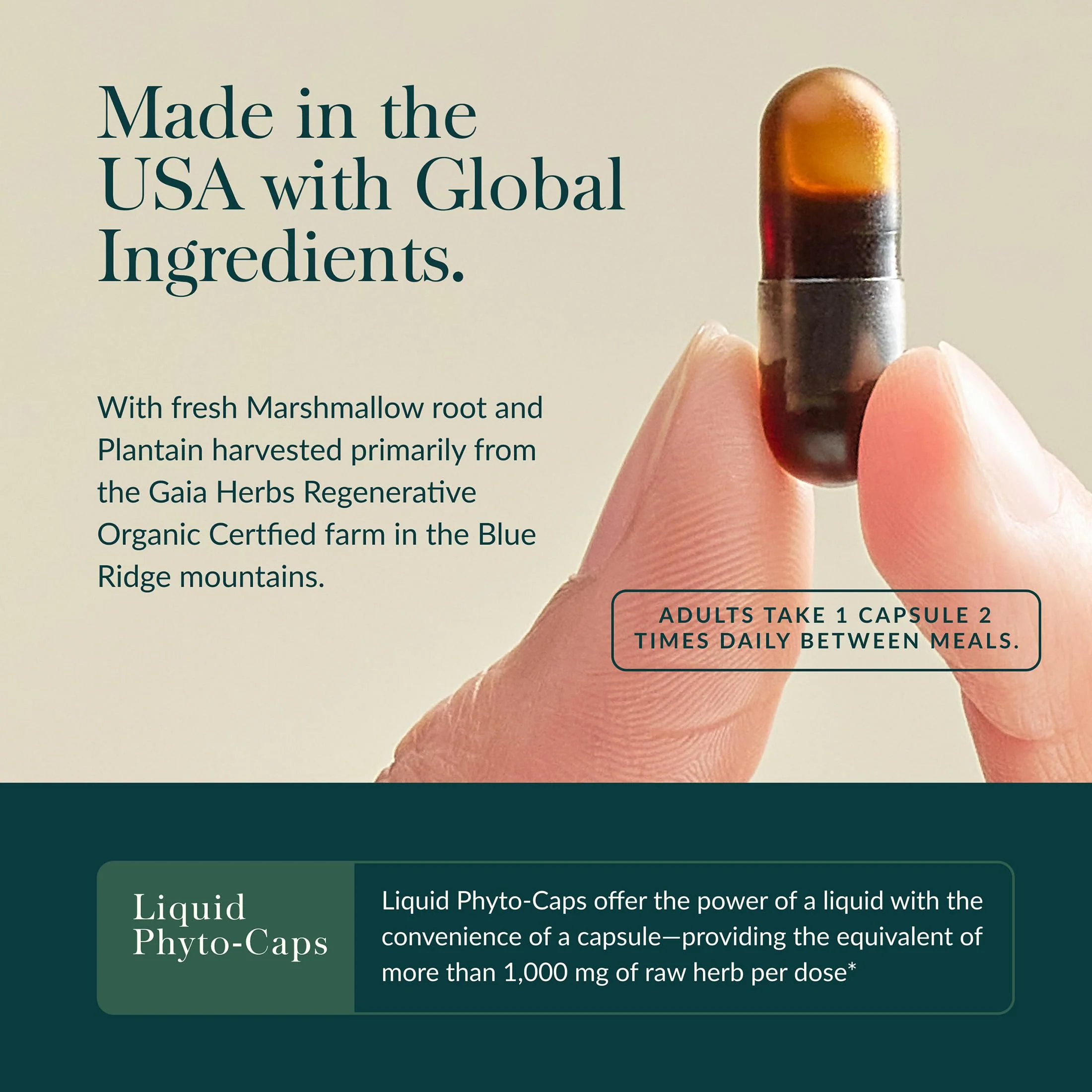 Gaia Herbs Mighty Lungs - Lung Support Supplement with Herbs Traditionally Used to Help Maintain Respiratory Health* - 60 Vegan Liquid Phyto-Caps (60 Servings) - Image 7