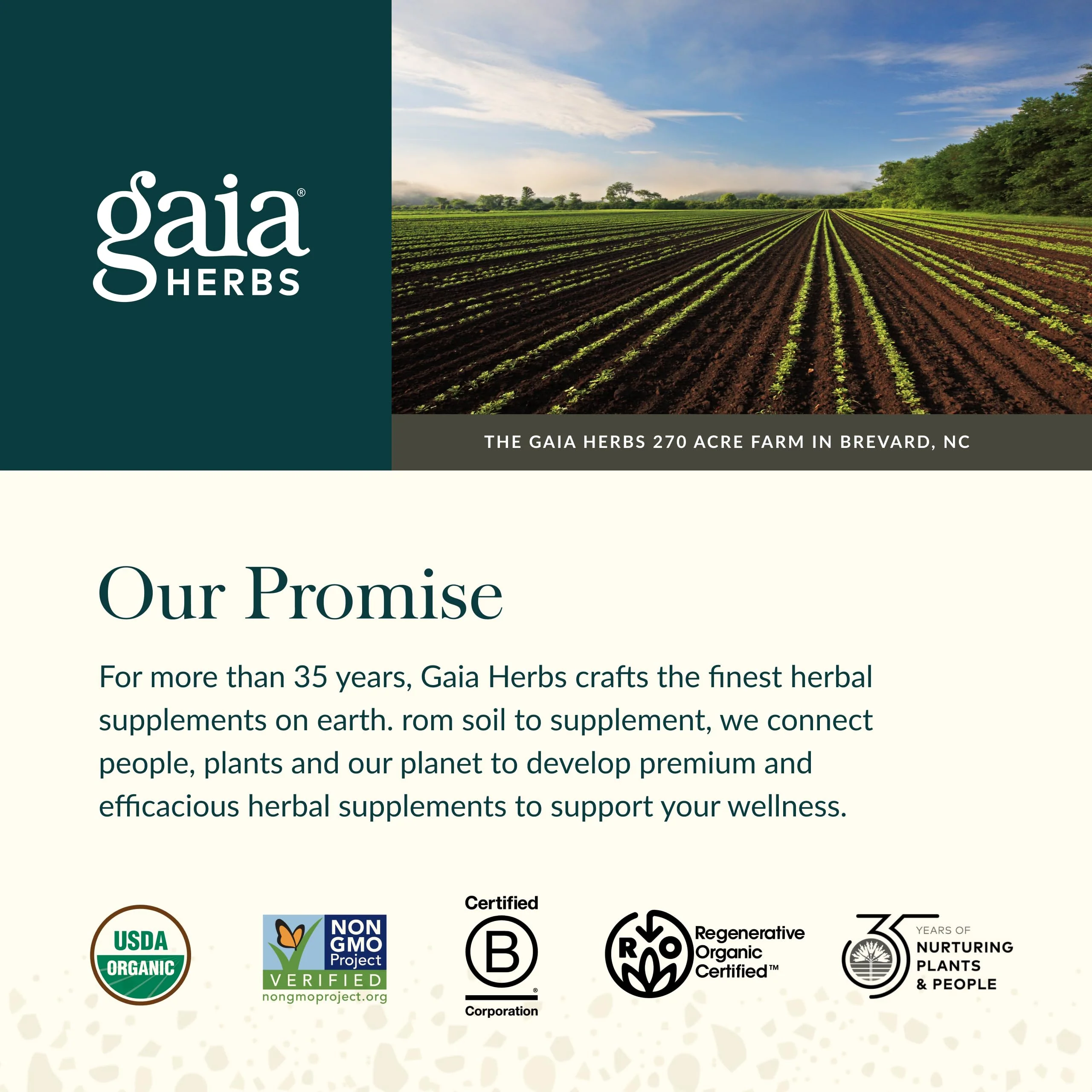 Gaia Herbs Organic Ashwagandha Gummies - Stress Support* - Made with Cinnamon & Ginger - Gluten Free & Vegan - 81 Count (27 Servings) - Image 4