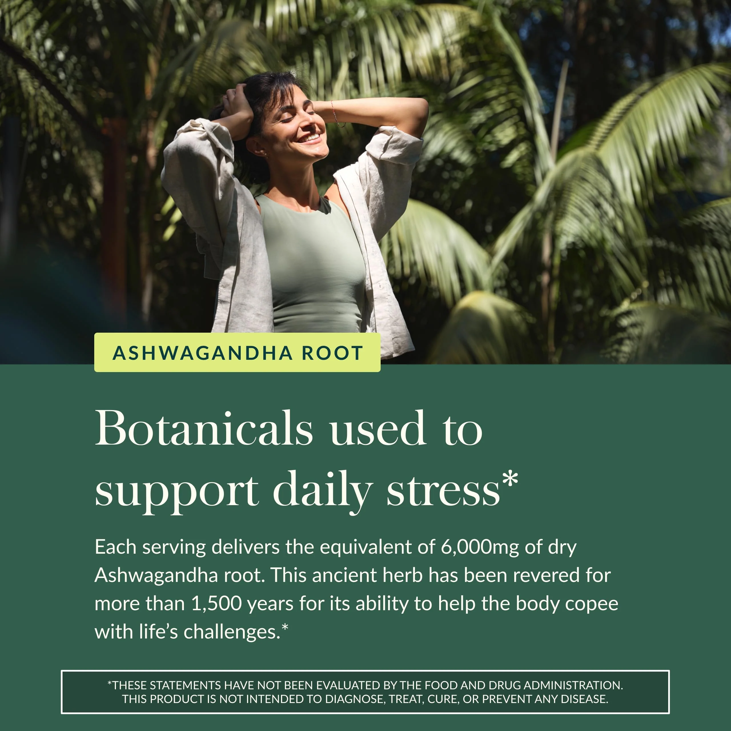Gaia Herbs Organic Ashwagandha Gummies - Stress Support* - Made with Cinnamon & Ginger - Gluten Free & Vegan - 81 Count (27 Servings) - Image 6