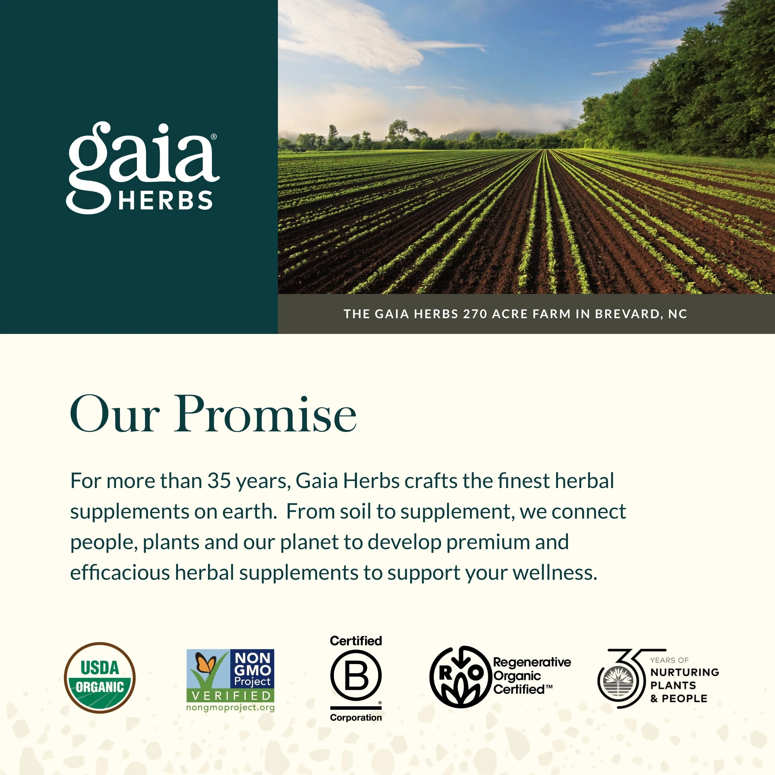 Gaia Herbs Plant Force Liquid Iron - Vegetarian Iron Supplement to Help Maintain Healthy Iron & Energy Levels - with Star Anise, Sea Buckthorn, Beet Root, Dandelion & Nettle - 8.5 Fl Oz (25 Servings) - Image 4