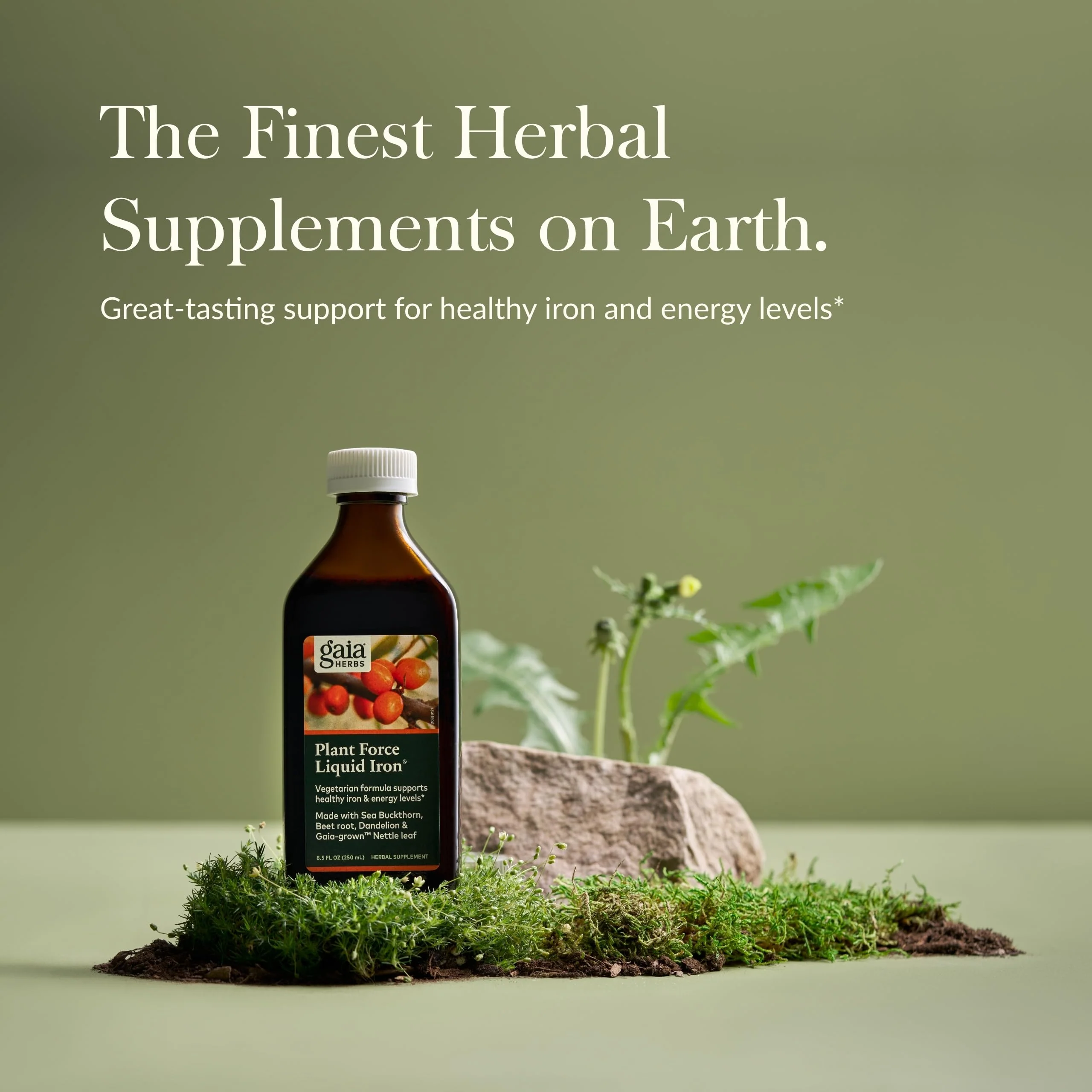Gaia Herbs Plant Force Liquid Iron - Vegetarian Iron Supplement to Help Maintain Healthy Iron & Energy Levels - with Star Anise, Sea Buckthorn, Beet Root, Dandelion & Nettle - 8.5 Fl Oz (25 Servings) - Image 9