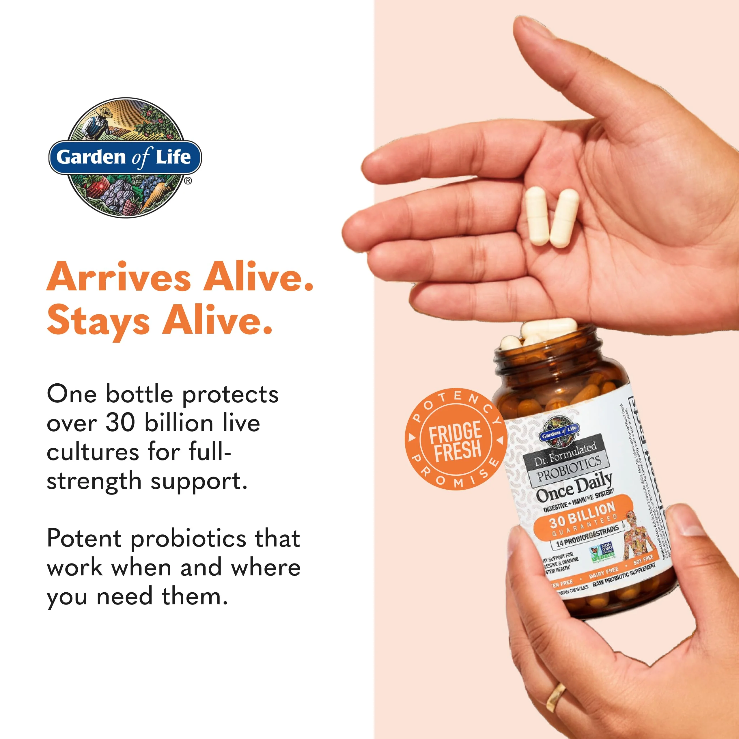 Garden of Life Dr. Formulated Probiotics Once Daily - 30 Billion CFU - Daily Probiotic for Gut Health & Immune Support - 30 Vegetarian Capsules - Image 2