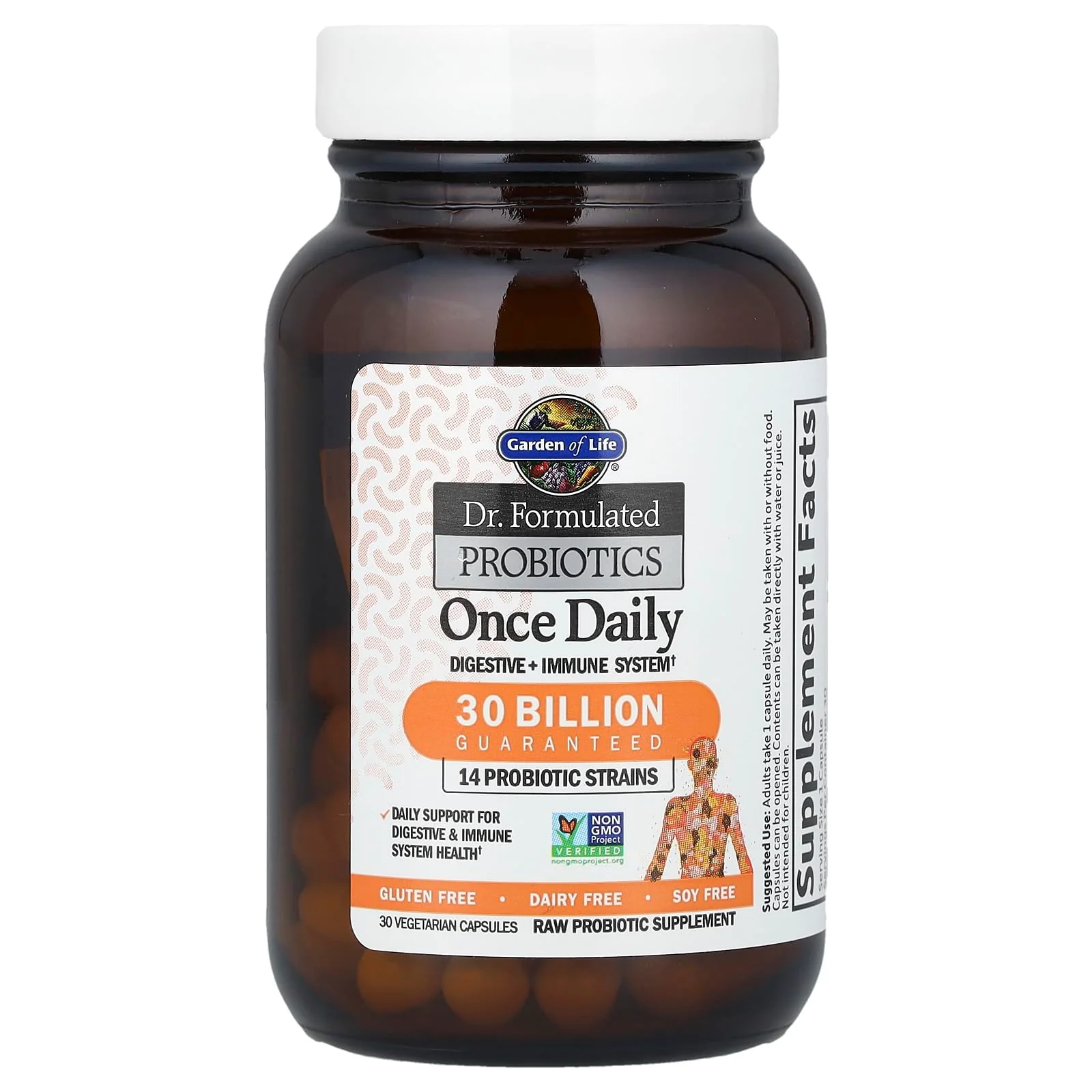 Garden of Life Dr. Formulated Probiotics Once Daily - 30 Billion CFU - Daily Probiotic for Gut Health & Immune Support - 30 Vegetarian Capsules - Image 7