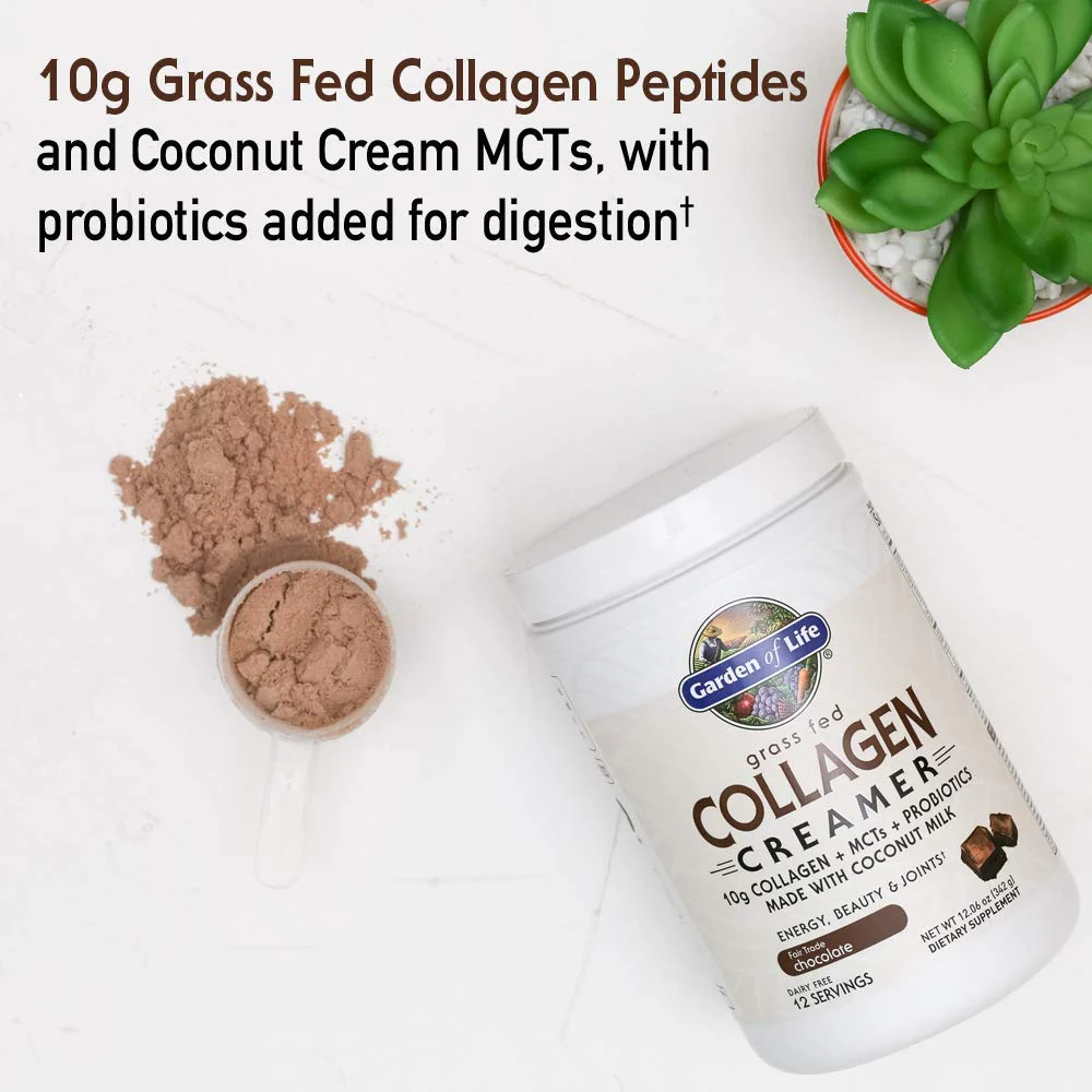 Garden of Life Grass Fed Collagen Creamer Powder - Chocolate, 12 Servings, Powder for Coffee Energy Beauty Joints, Collagen Peptides with Coconut MCTs, Keto Protein Supplements - Image 4
