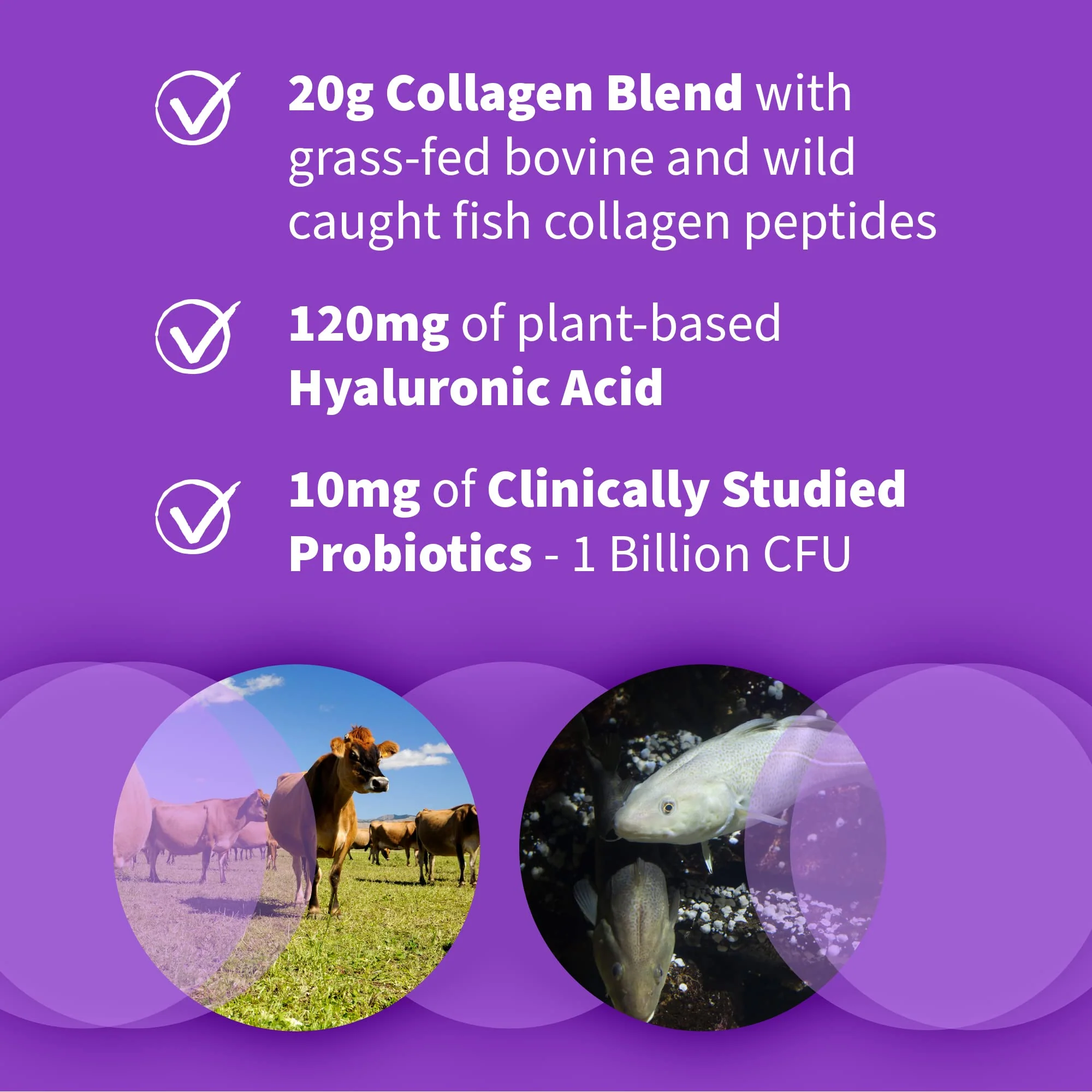 Garden of Life Marine & Grass-Fed Collagen Peptides Powder Supplement (Type I, III) with Probiotics, BCAAs & Hyaluronic Acid for Radiant Hair, Skin & Nails – Unflavored, 20g per serving, 12 Servings - Image 5
