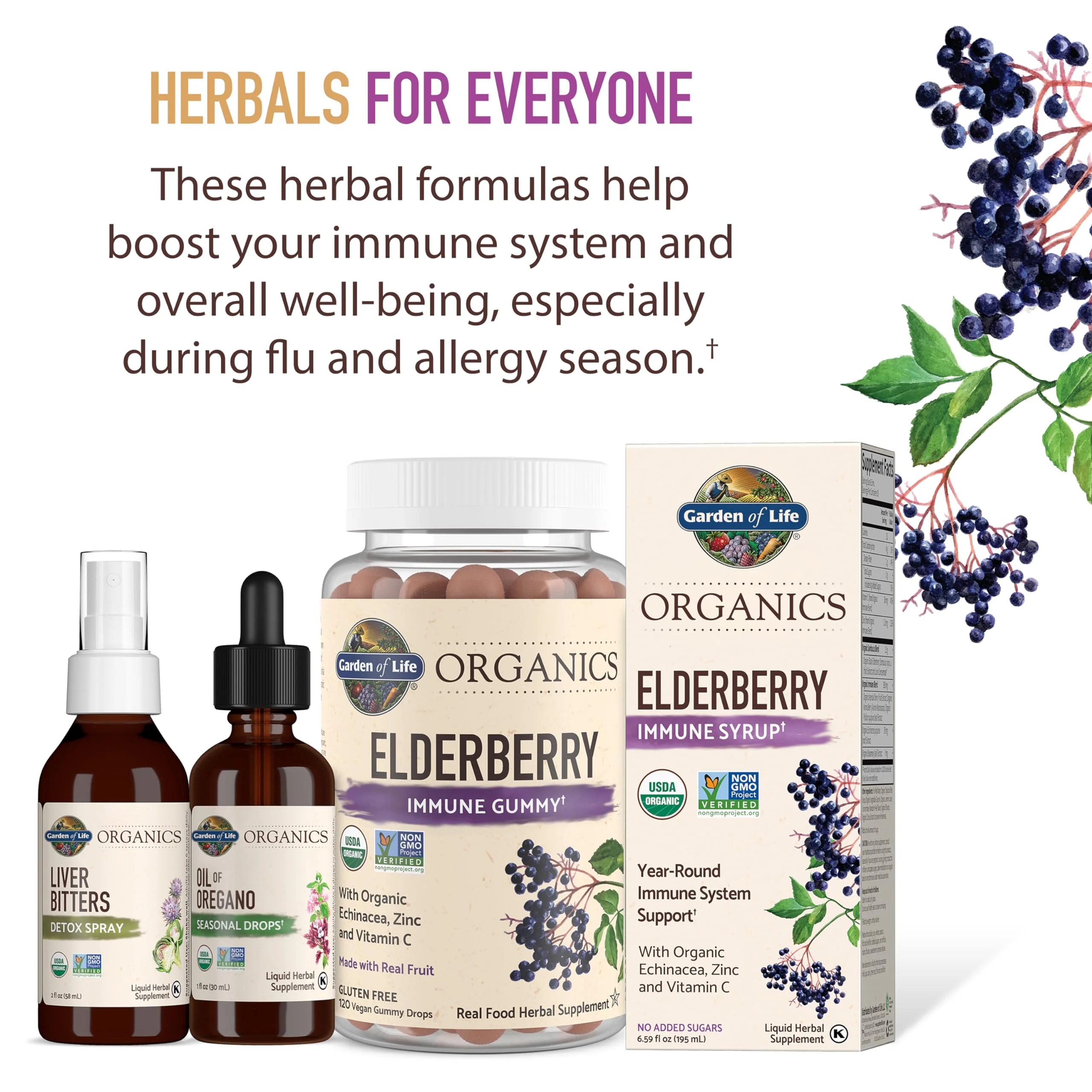 Garden of Life Organics Plant Based Elderberry Immune Syrup 6.59 floz (195 mL) for Kids & Adults - Sambucus, Echinacea, Zinc & Vitamin C, 0g Sugar, Organic Vegan Gluten Free Herbal Supplement - Image 3