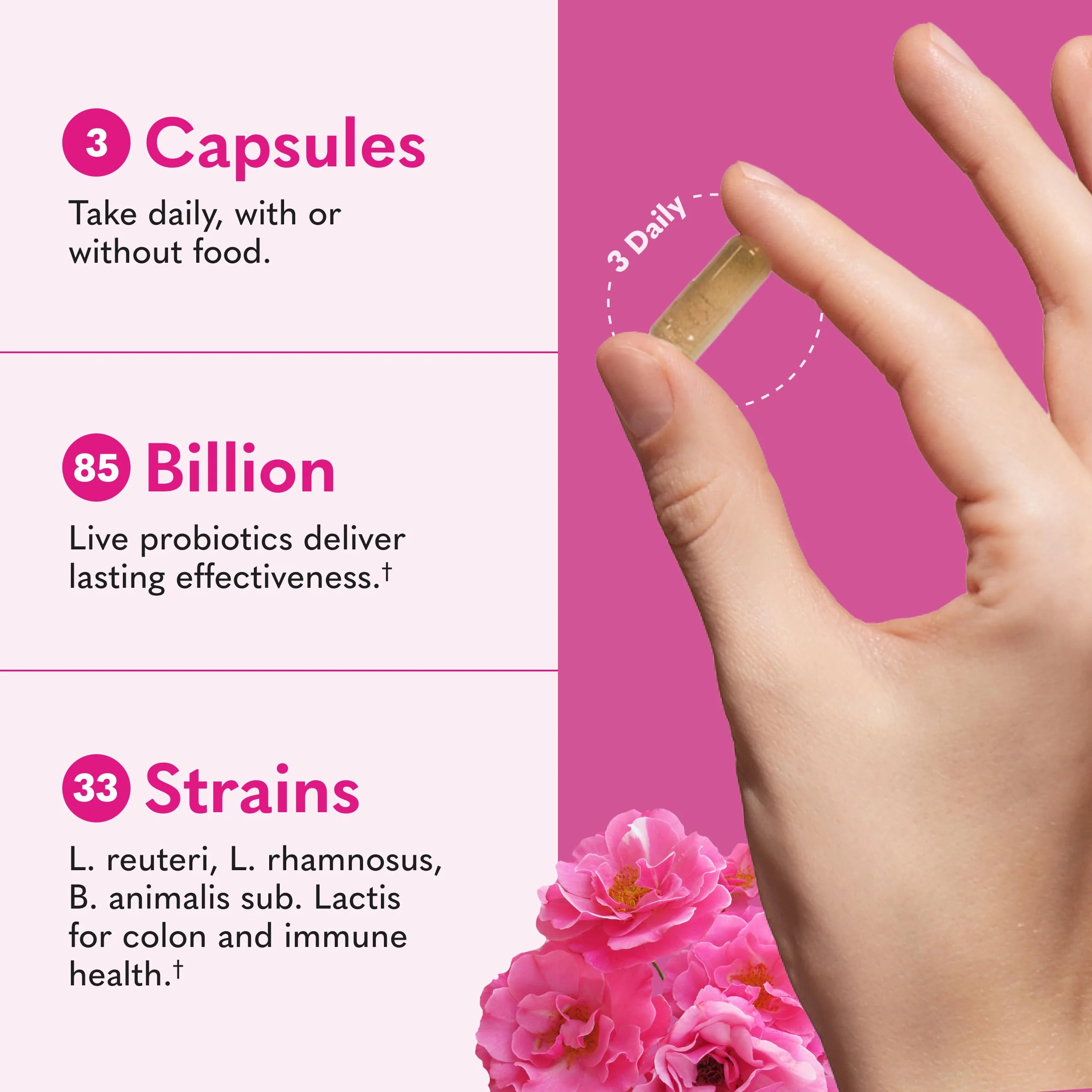 Garden of Life Raw Probiotics Women 50 & Wiser - 85 Billion Live Cultures - Probiotic Supplement with Bulgarian Yogurt & Eastern Europe Wild Kefir Culture - 90 Vegetarian Capsules - Image 6