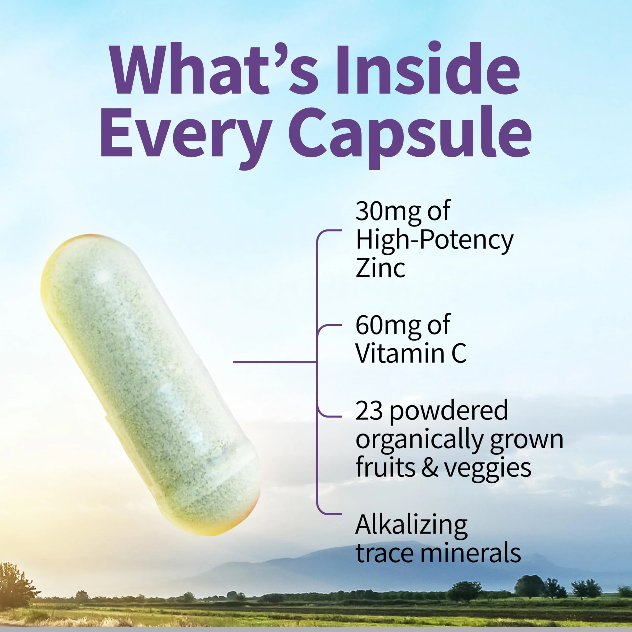 Garden of Life Zinc Supplements 30mg High Potency Raw Zinc and Vitamin C Multimineral Supplement, Vitamin Code Vitamins Trace Minerals & Probiotics for Skin Health & Immune Support, 60 Vegan Capsules - Image 3