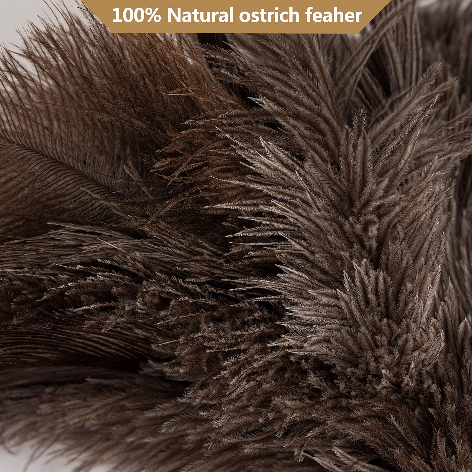 Genuine Ostrich Feather Duster, 16 inch Gray Ostrich Feather Duster with Wood Handle, Reusable Car Dusters, Eco-Friendly Handheld Cleaning Dusters for Home, Office and Kitchen - Image 4