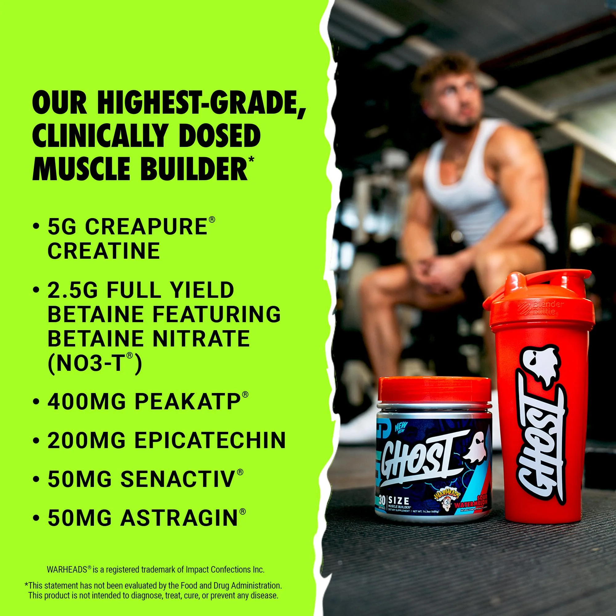 GHOST Size Muscle Builder Dietary Supplement - Warheads Sour Watermelon, 30 Servings – Support Muscle Growth & Strength Building for Men & Women - Creatine & Betaine - Free of Sugar & Gluten - Image 5