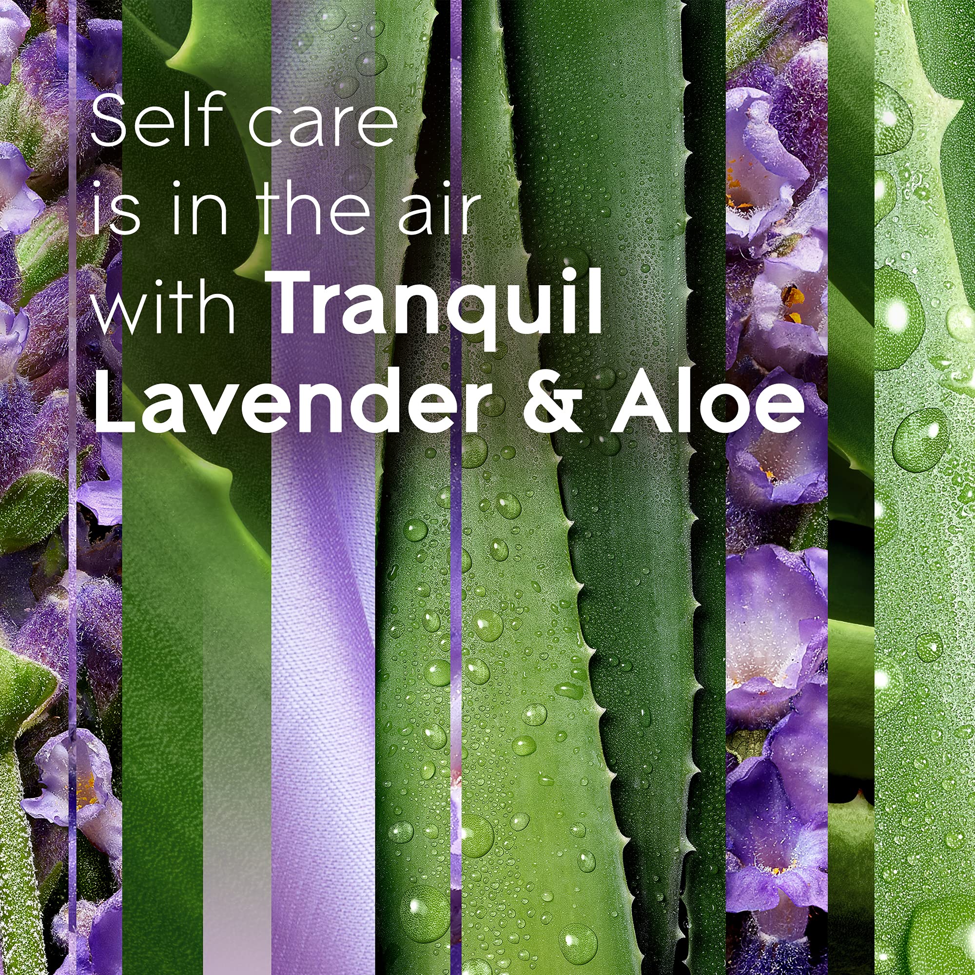 Glade PlugIns Refills Air Freshener,Tranquil Lavender & Aloe,Scented and Essential Oils for Home and Bathroom,0.67 Fl Oz,10 Count (Pack of 2) - Image 4