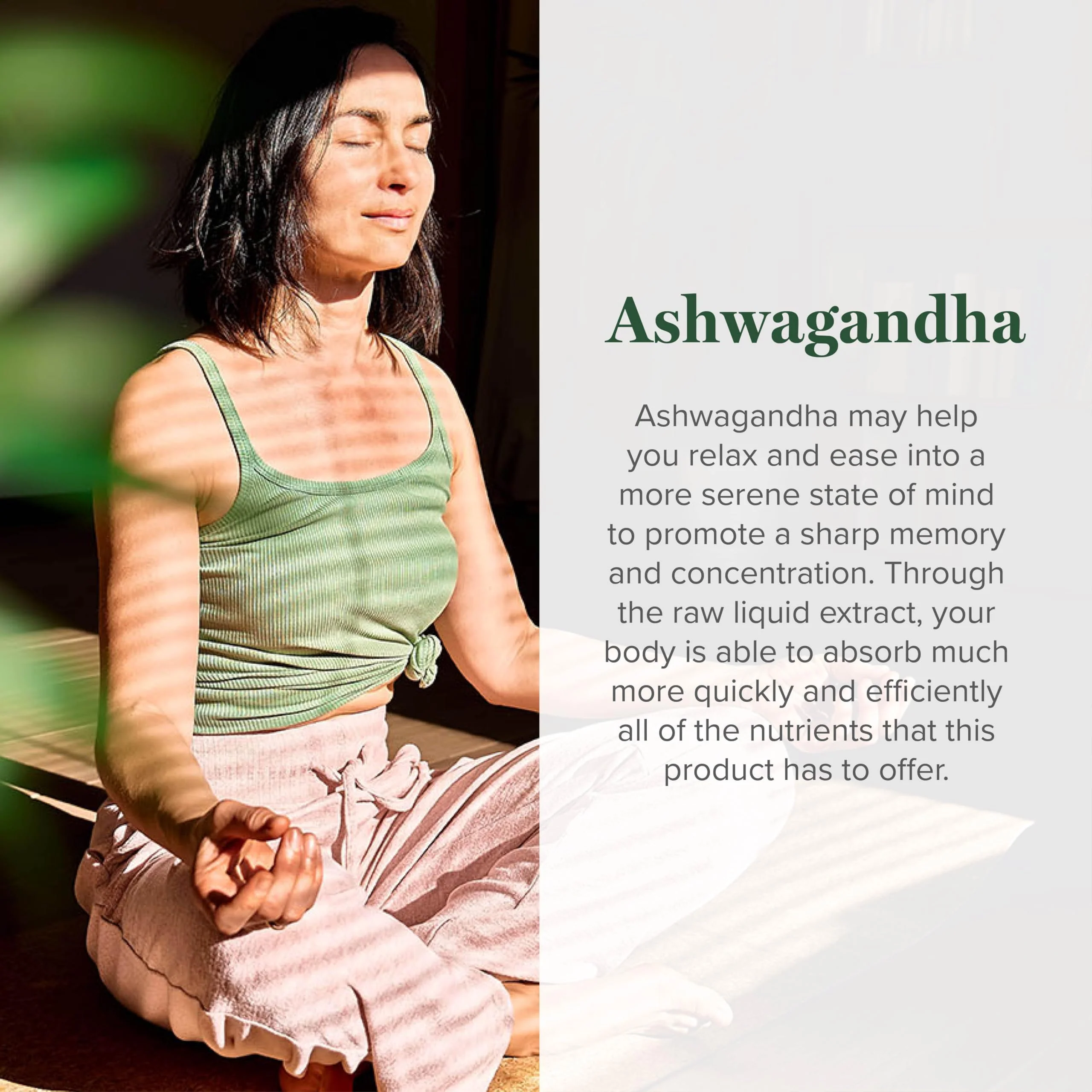 Global Healing Center - Organic Ashwagandha Supplements Drops - KSM-66 Ashwagandha Extra Strength for Men & Women, Helps Promote Relief from Stress, Mood Support, Organic (2 Fl Oz) - Image 5