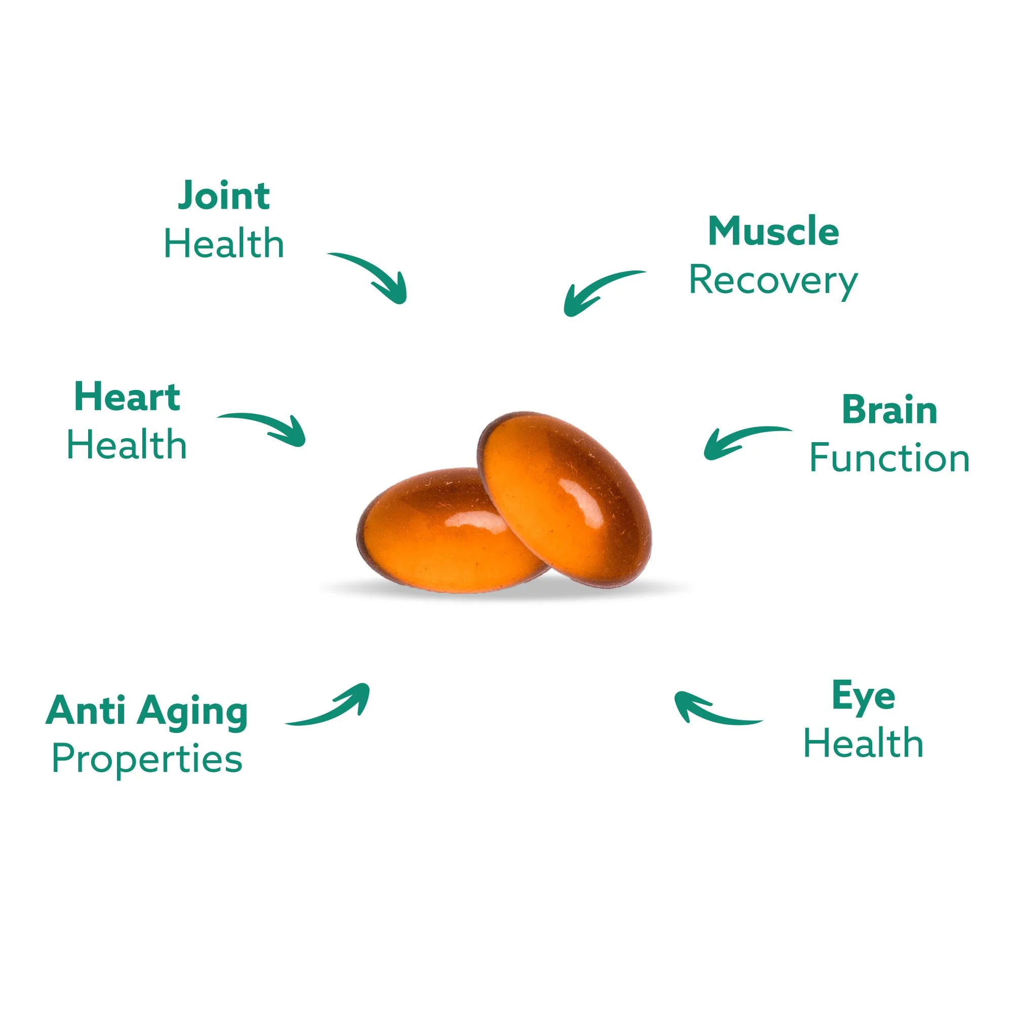 GLX3 Joint Support Extra Strength Omega-3 Supplement | Premium New Zealand Green Lipped Mussel Oil - Comfort, Flexibility, Muscle Recovery - ETA EPA DHA Omega 3 Supplement Capsules by Haka Life - Image 5