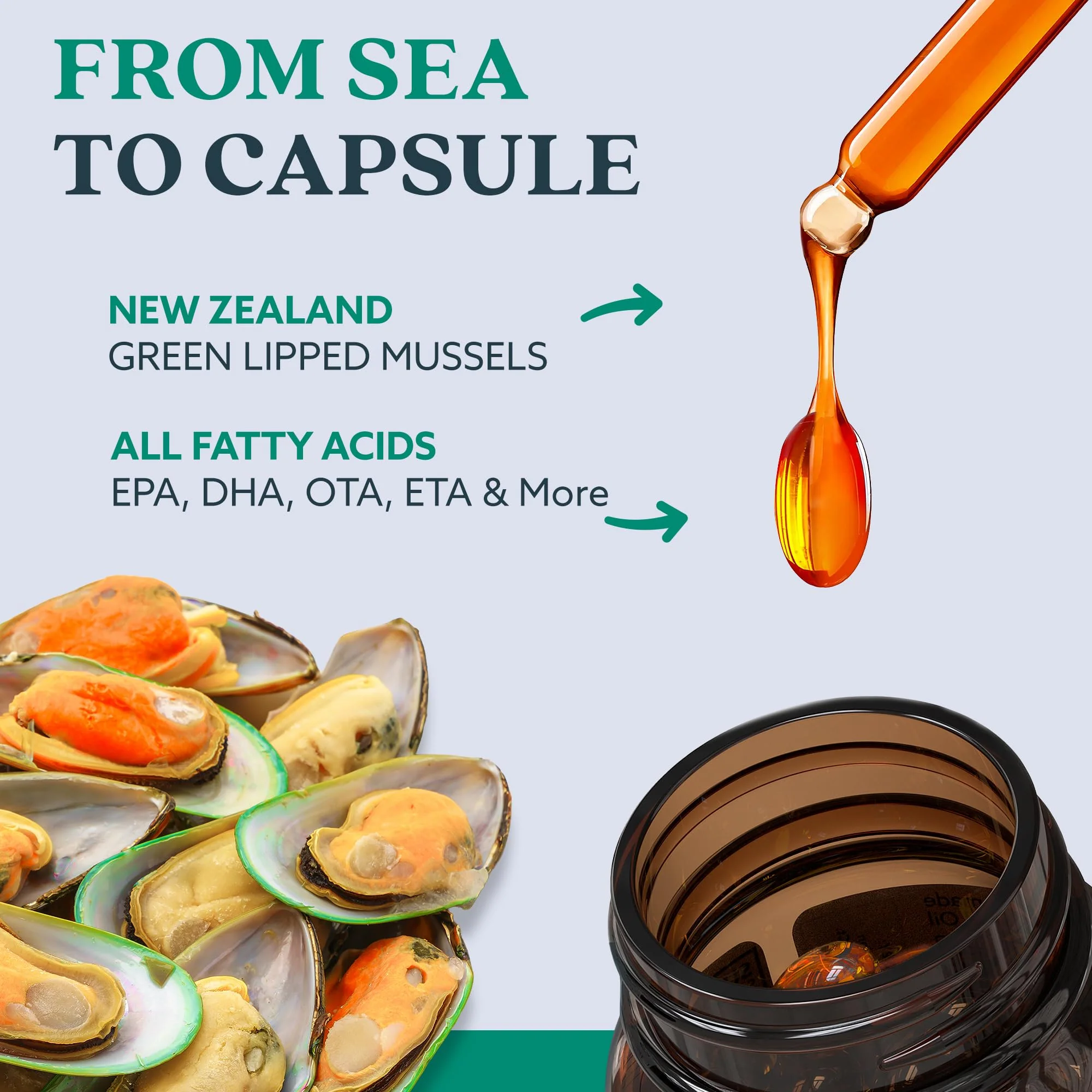 GLX3 Joint Support Extra Strength Omega-3 Supplement | Premium New Zealand Green Lipped Mussel Oil - Comfort, Flexibility, Muscle Recovery - ETA EPA DHA Omega 3 Supplement Capsules by Haka Life - Image 6
