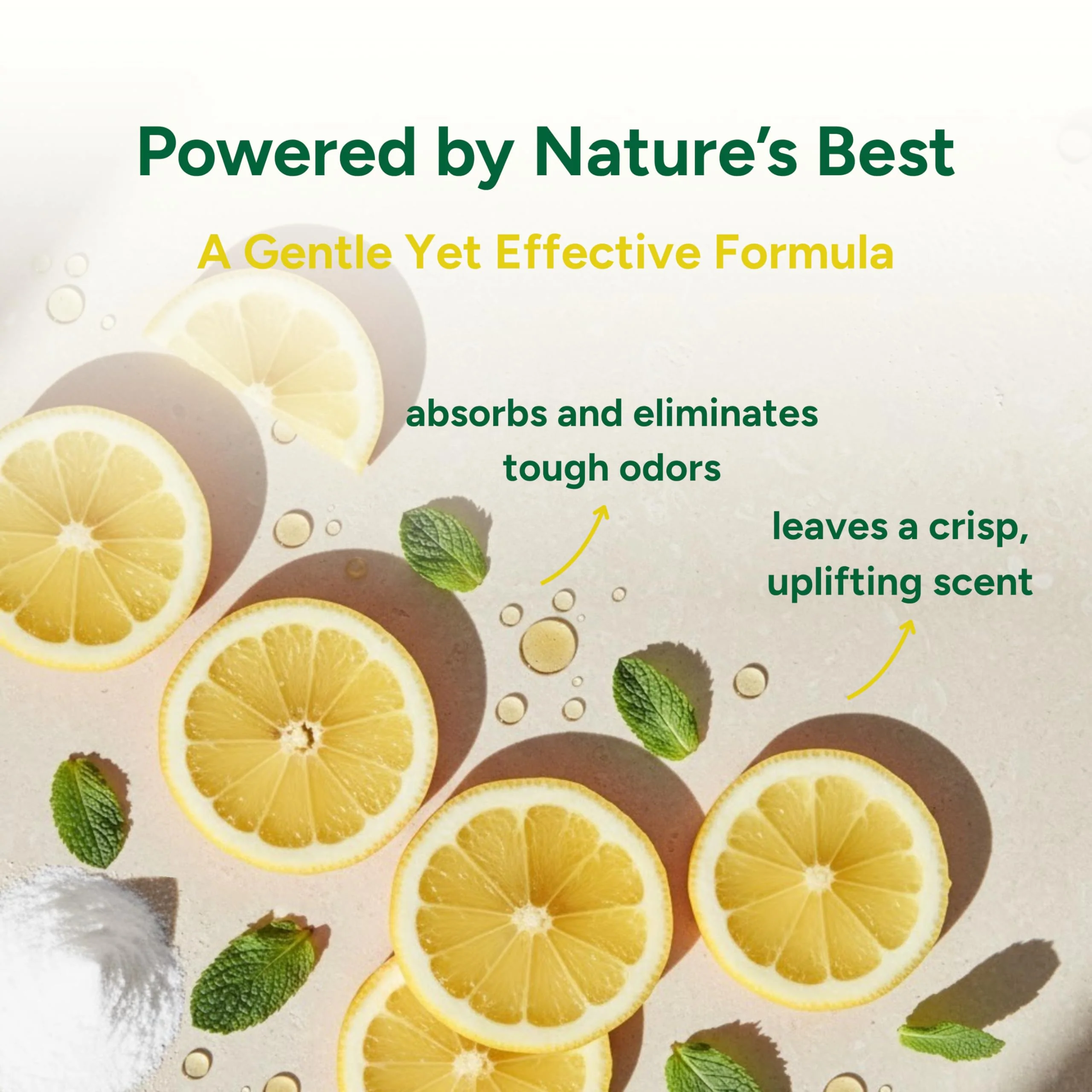 Good Natured Brand | Carpet Deodorizer & Freshener Powder | 31 oz Pet Odor Eliminator for Strong Odor & Pet Urine | Fresh Natural Lemon Scent | Safe for Homes with Pets - Image 5